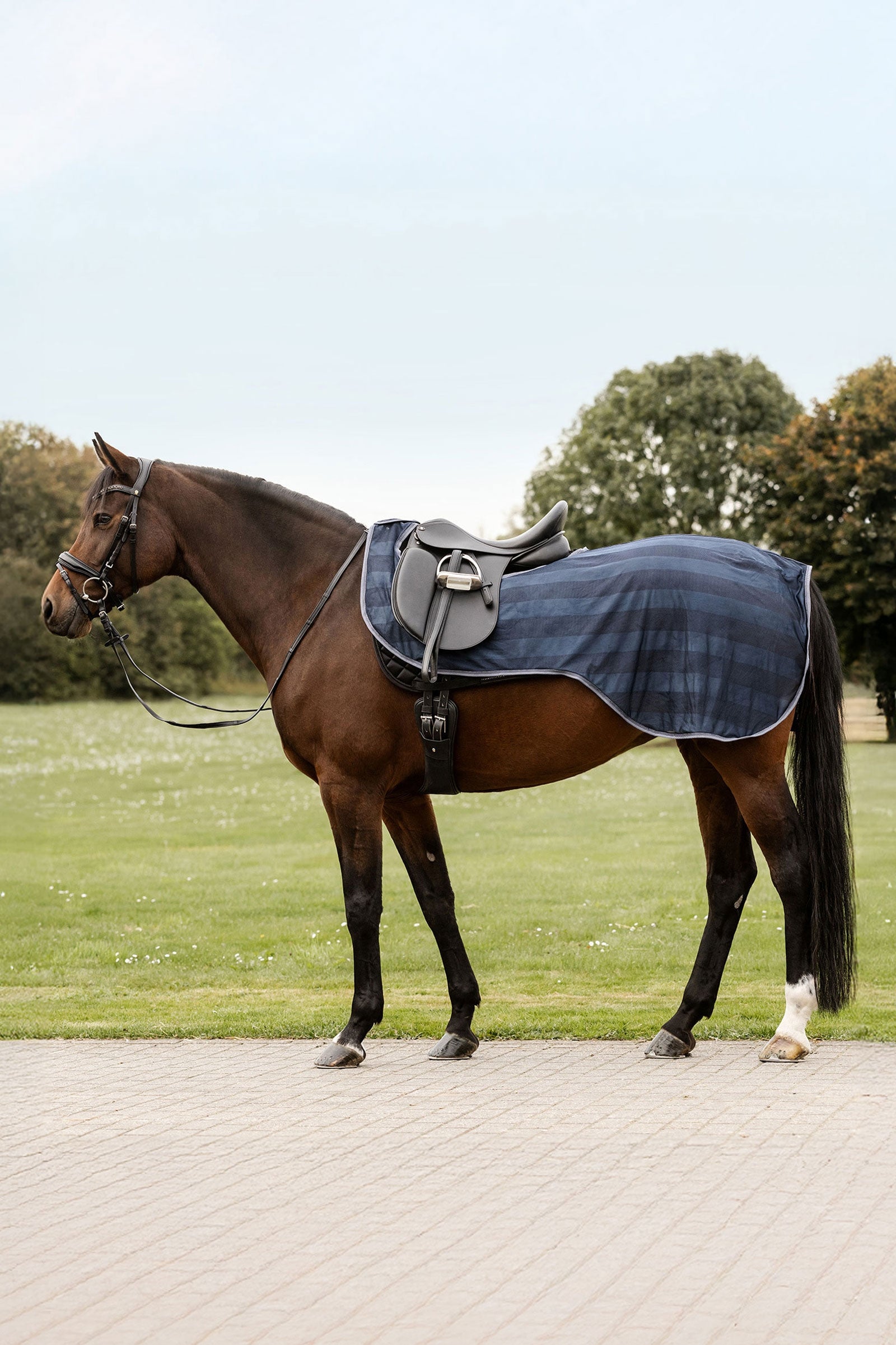 Horze Maschera Anti-Mosche Per Cavallo - Nero, Taglia F, Con Fodera In Rete E Bordo Imbottito