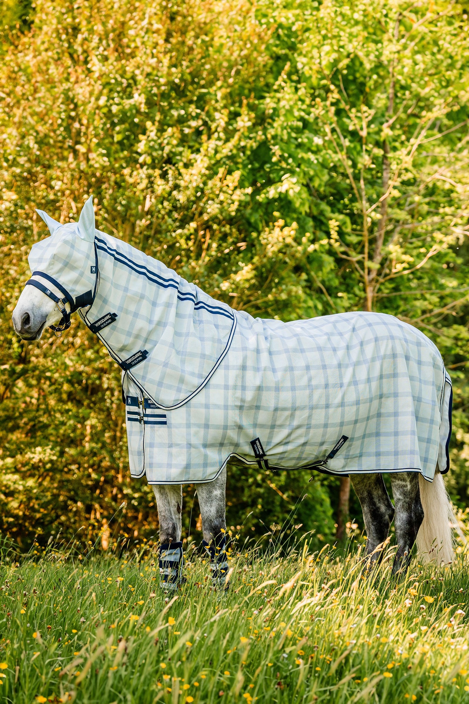 HORZE Marquess 135 Coperta In Pile Per Cavallo: Morbida E Calda. Colore Blu