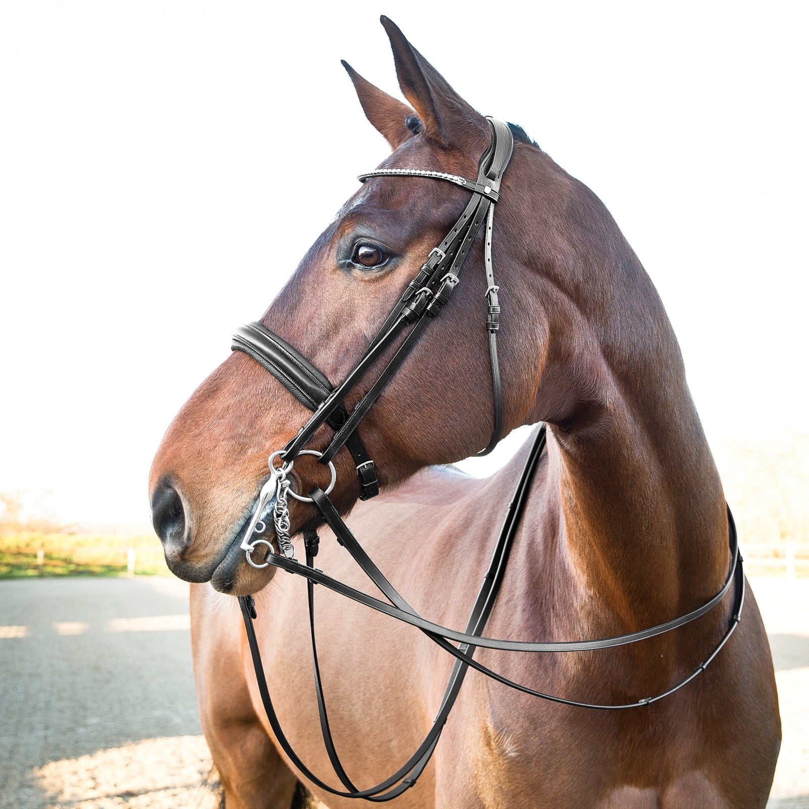Horze Vienna Anatomic Weymouth Bridle Bridles & Reins