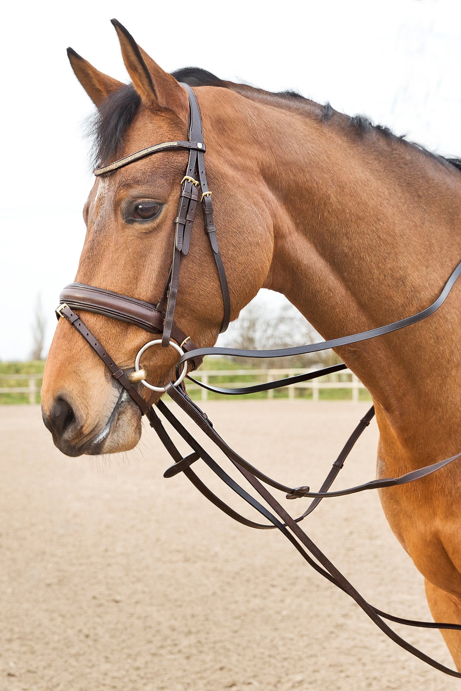 Horze Sparta Leather Draw Reins Bridles & Reins