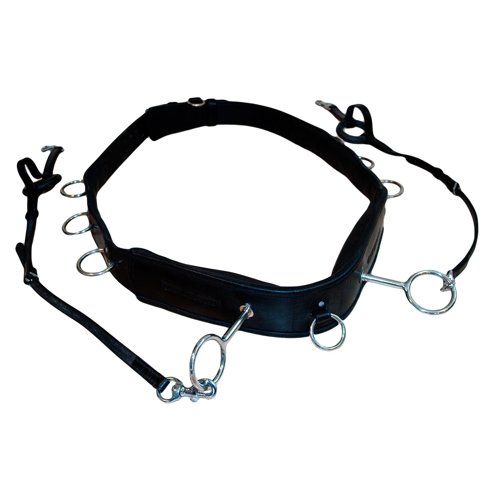 Karlslund Sottopancia lunging Addestramento del cavallo