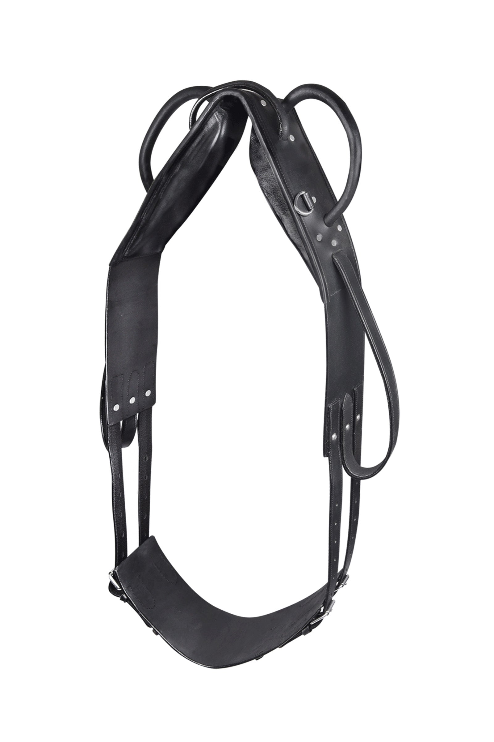 Waldhausen Fascione Per Lavoro E Da Volteggio Addestramento del cavallo