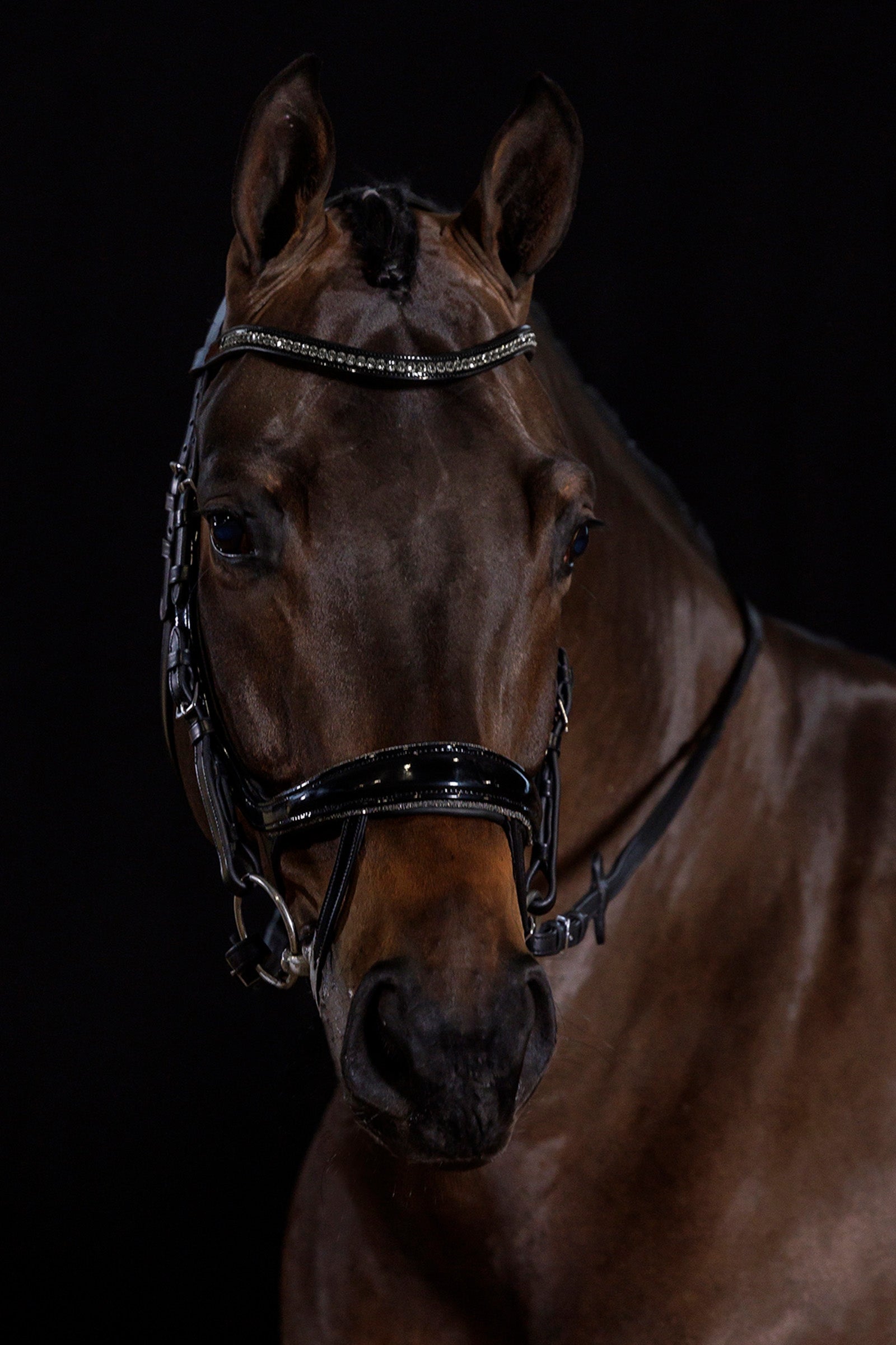 Schockemöhle Sports Equitus Beta Glam Bridle Bridles & Reins