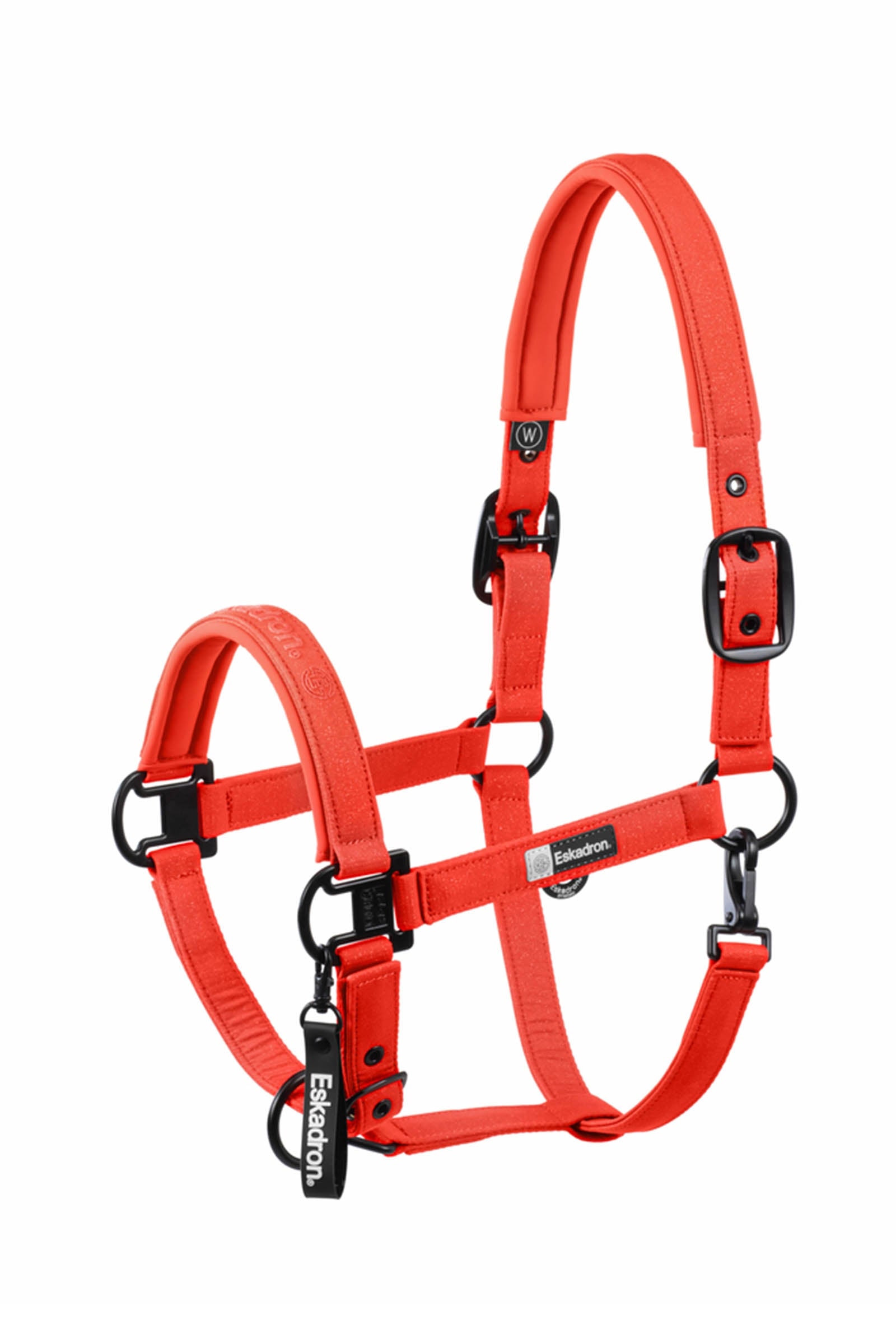 Eskadron Dynamics AW25 cavezza scintillante con fibbia doppia Cavezze e guinsagli
