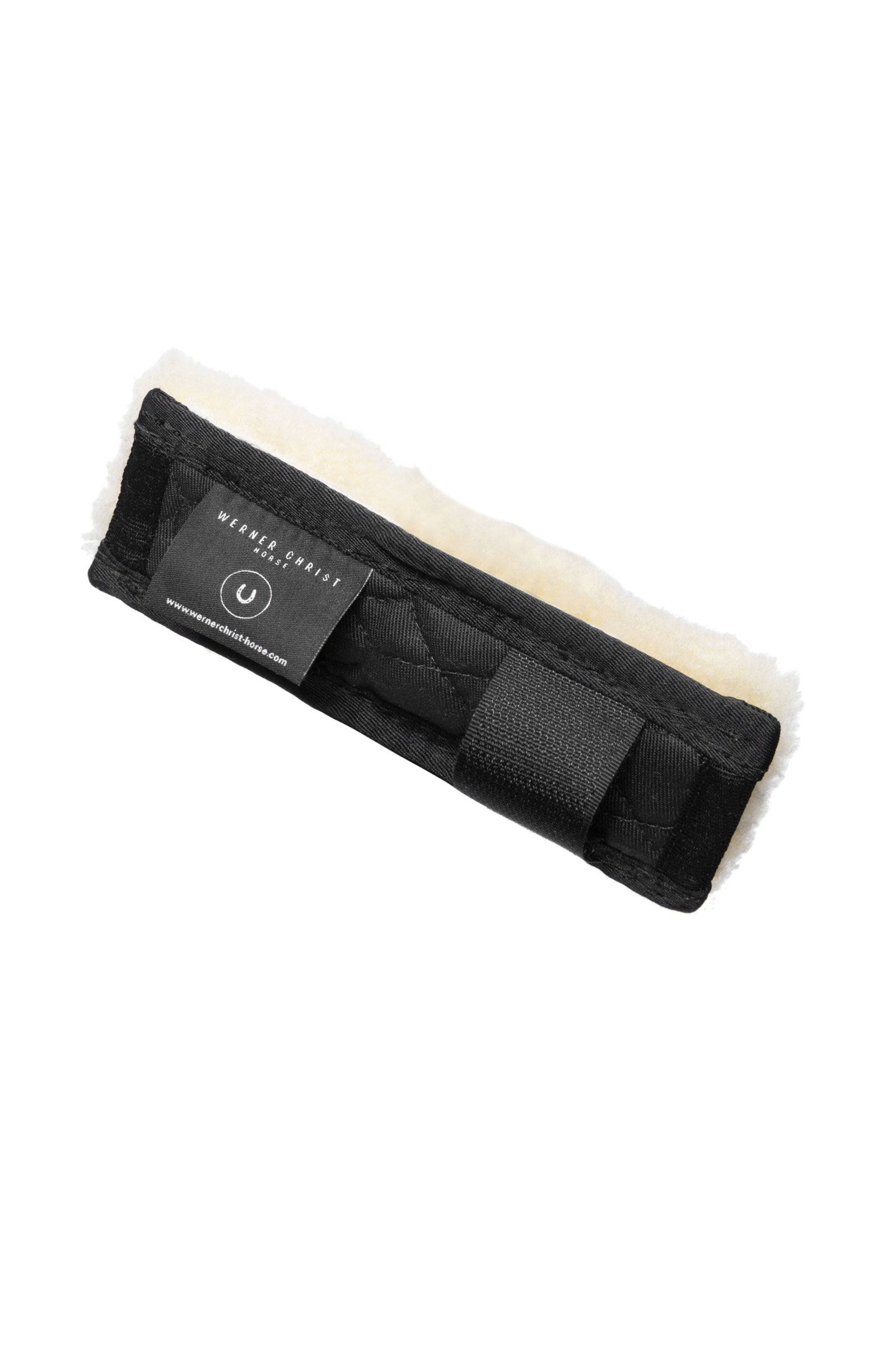 Christ Copricatena di Cristo Boccaglio