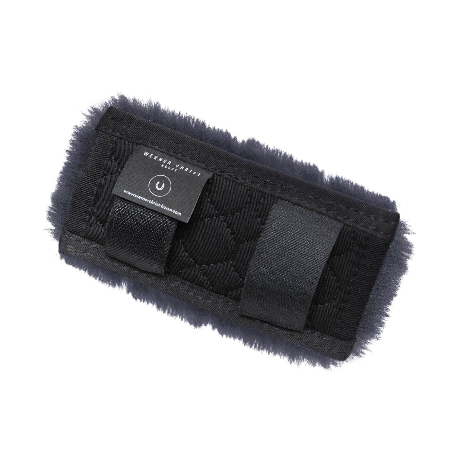 Christ Copricatena di Cristo Boccaglio