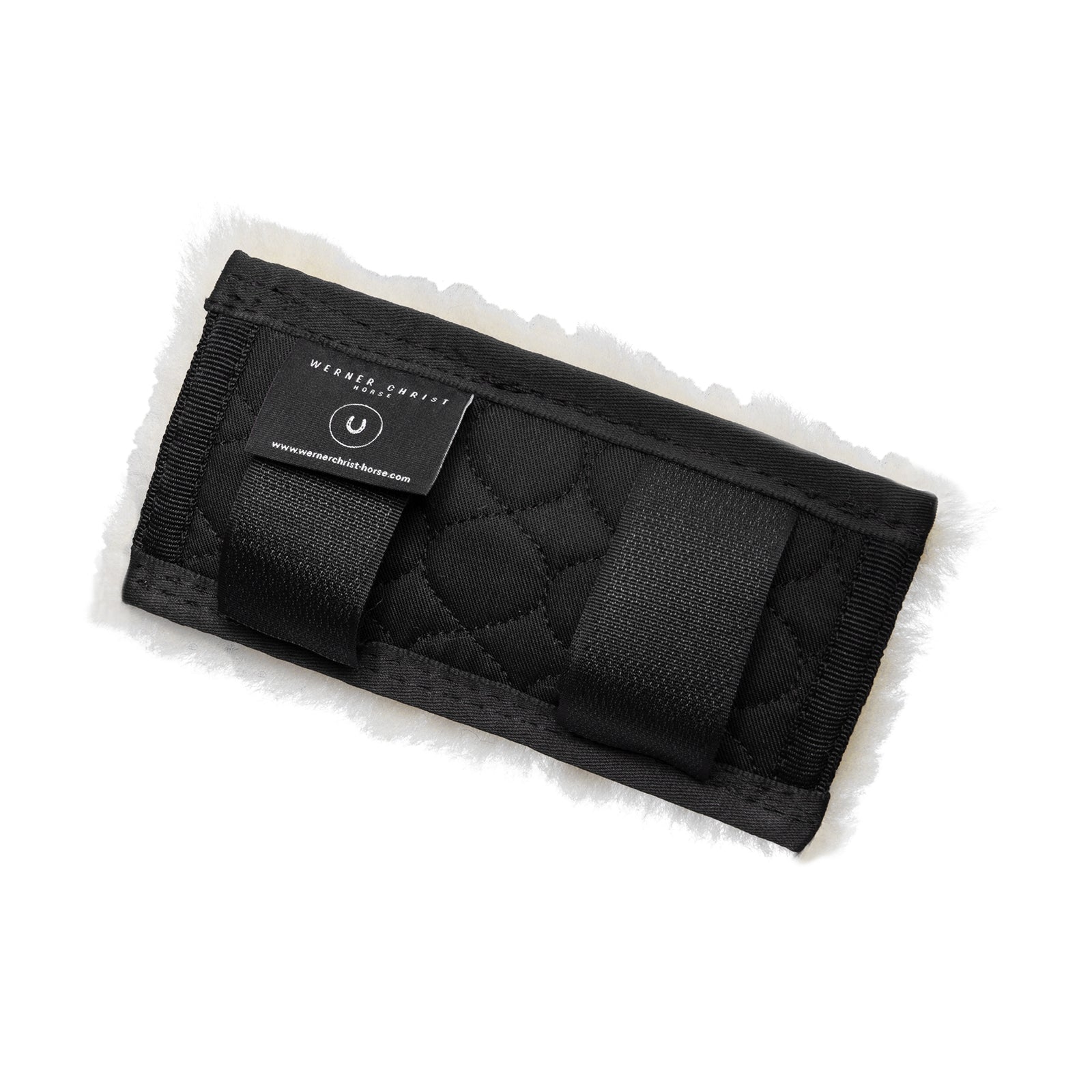 Christ Copricatena di Cristo Boccaglio