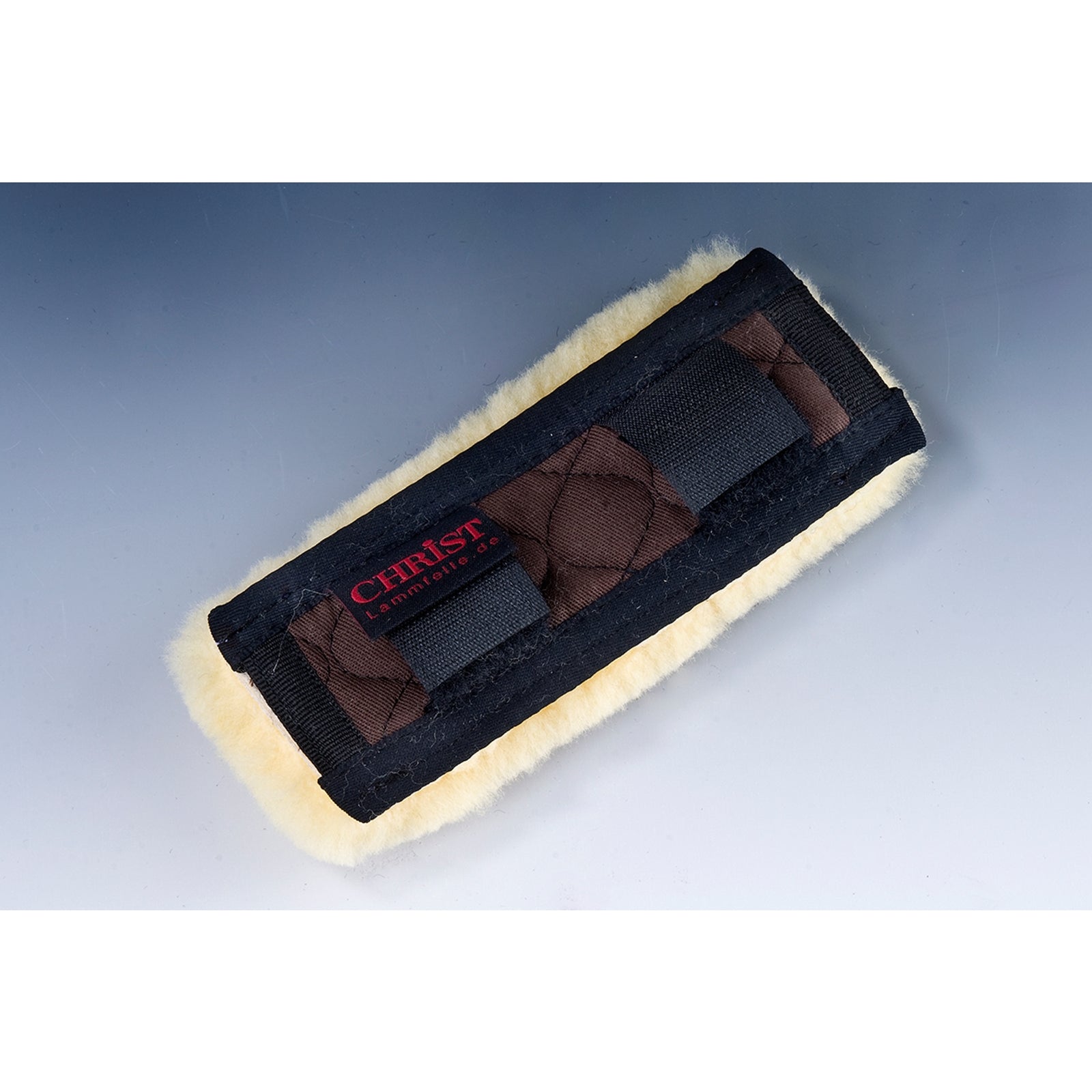 Christ Copricatena di Cristo Boccaglio