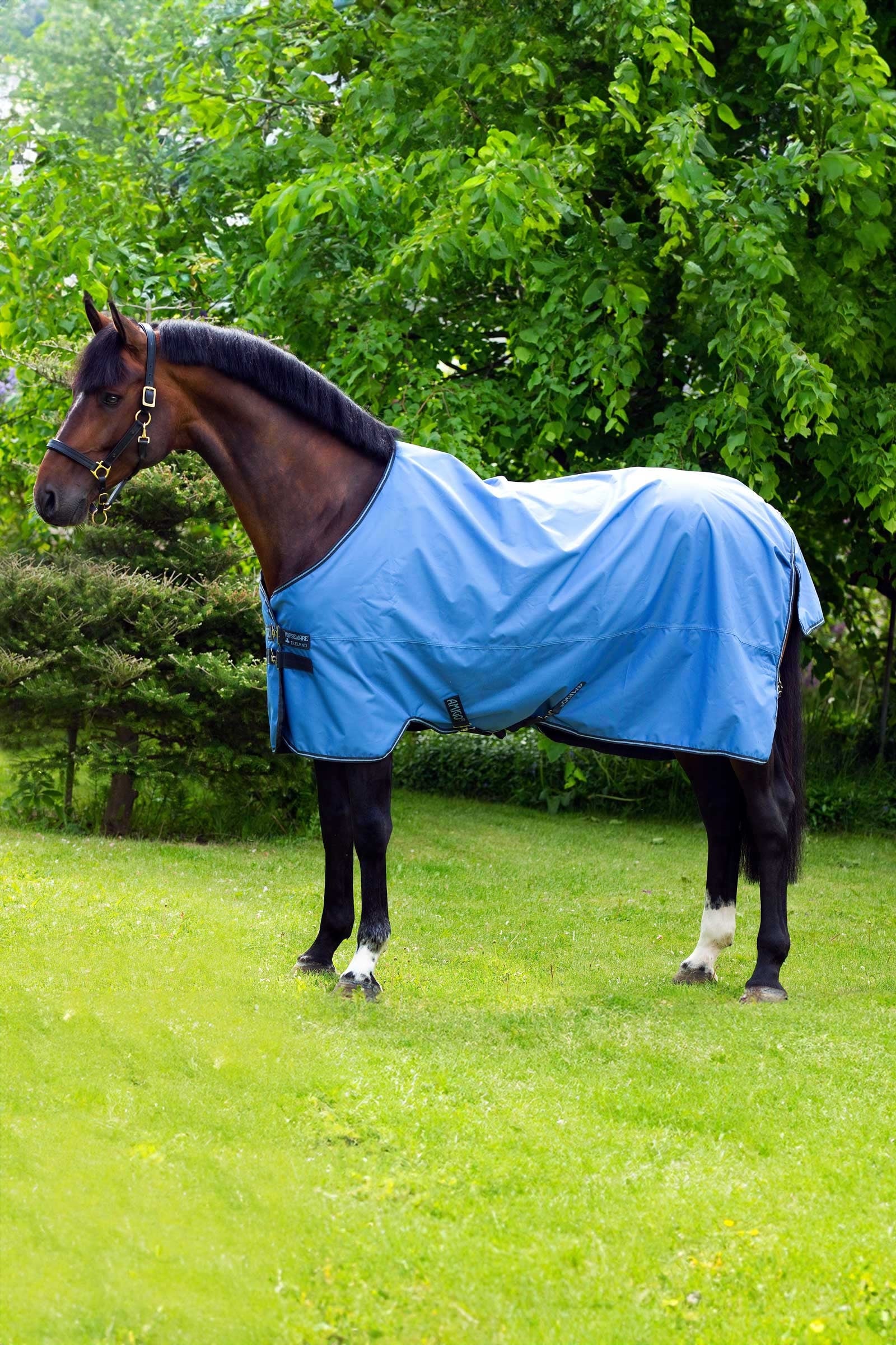 Horseware Amigo Hero 900 coperta da turnout leggera, 50 g Coperte per cavalli