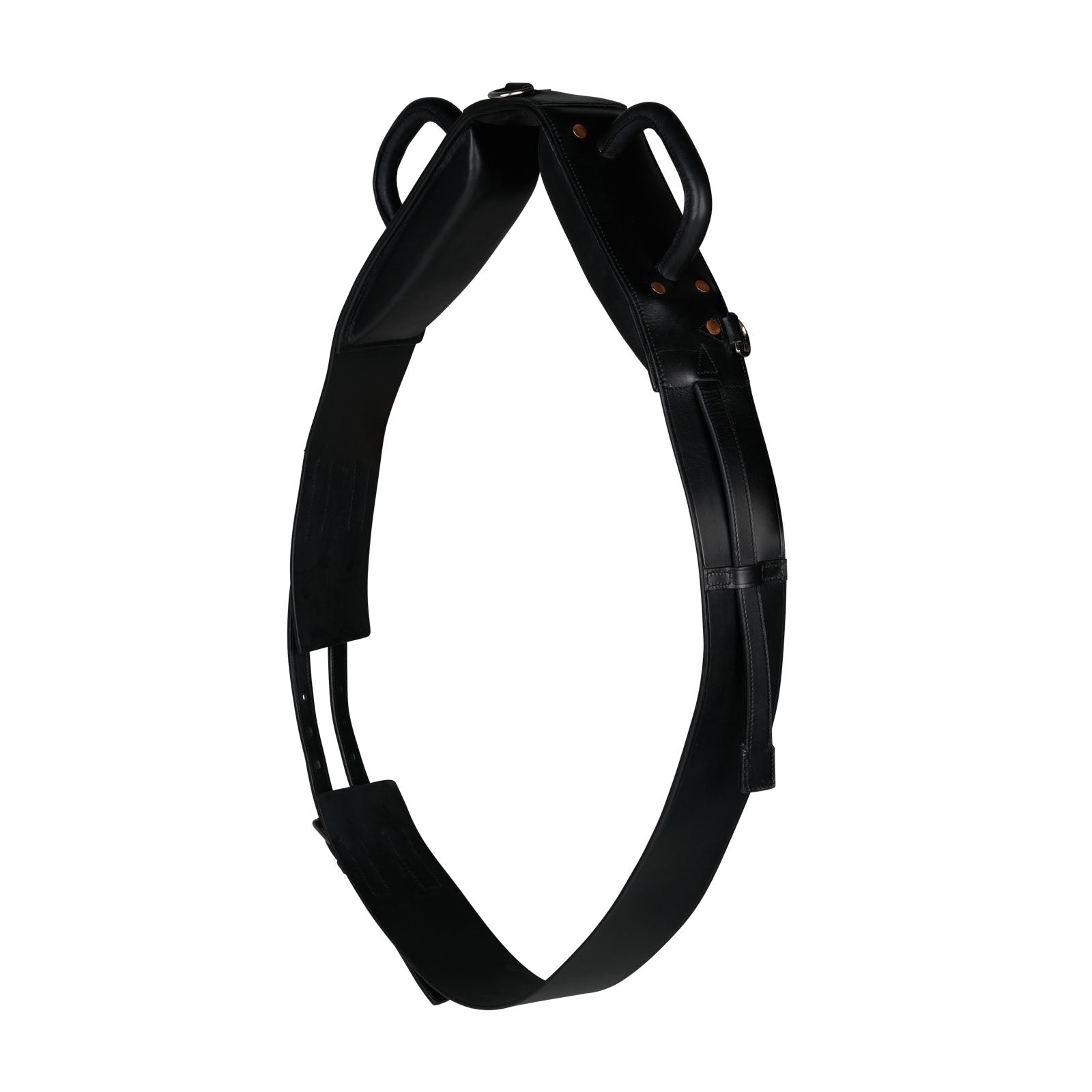 Horze Voltige Sottopancia Addestramento del cavallo