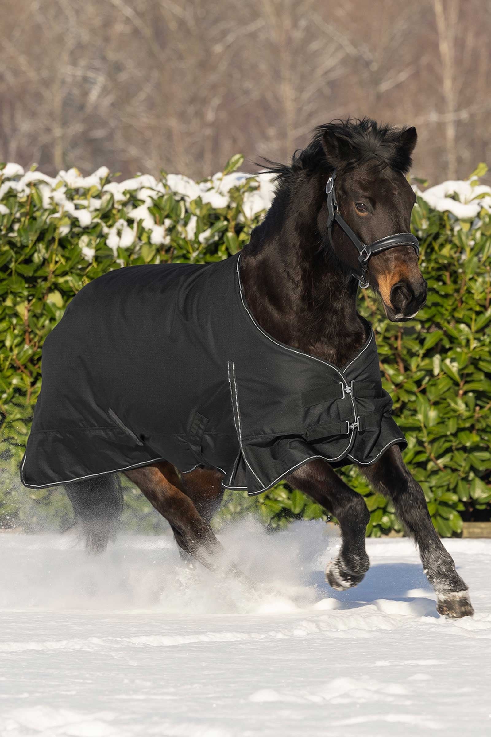 Waldhausen Nordic Turnout Rug, 200 g Horse Rugs