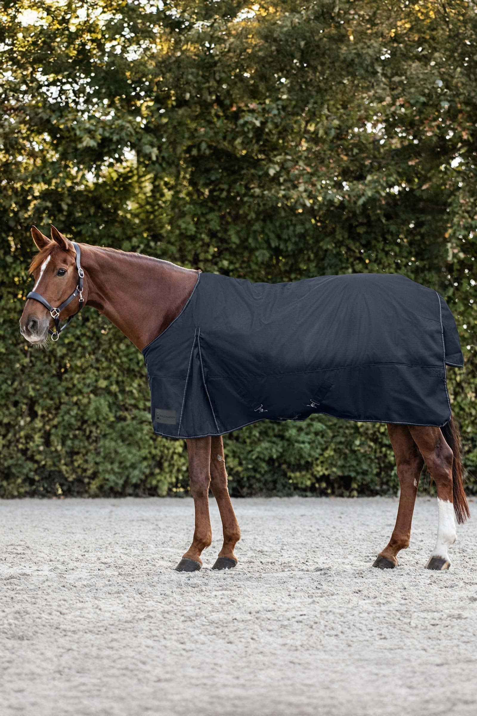 Waldhausen Nordic Coperta da turnout leggera, 200 g Coperte per cavalli