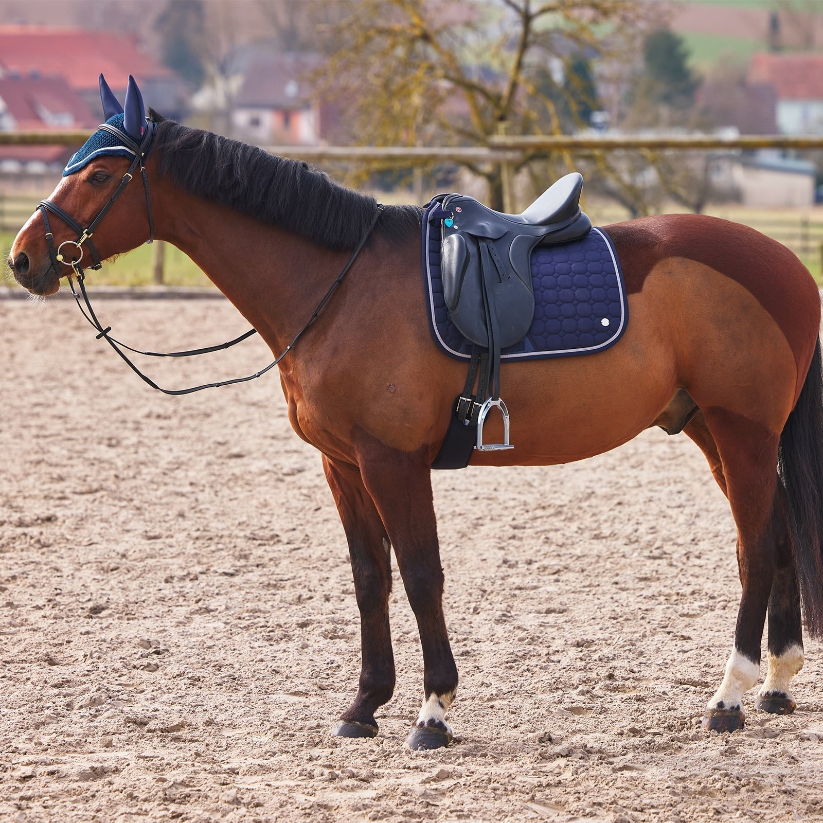 B Vertigo Zurich Dressage Saddle Pad Saddle Pads