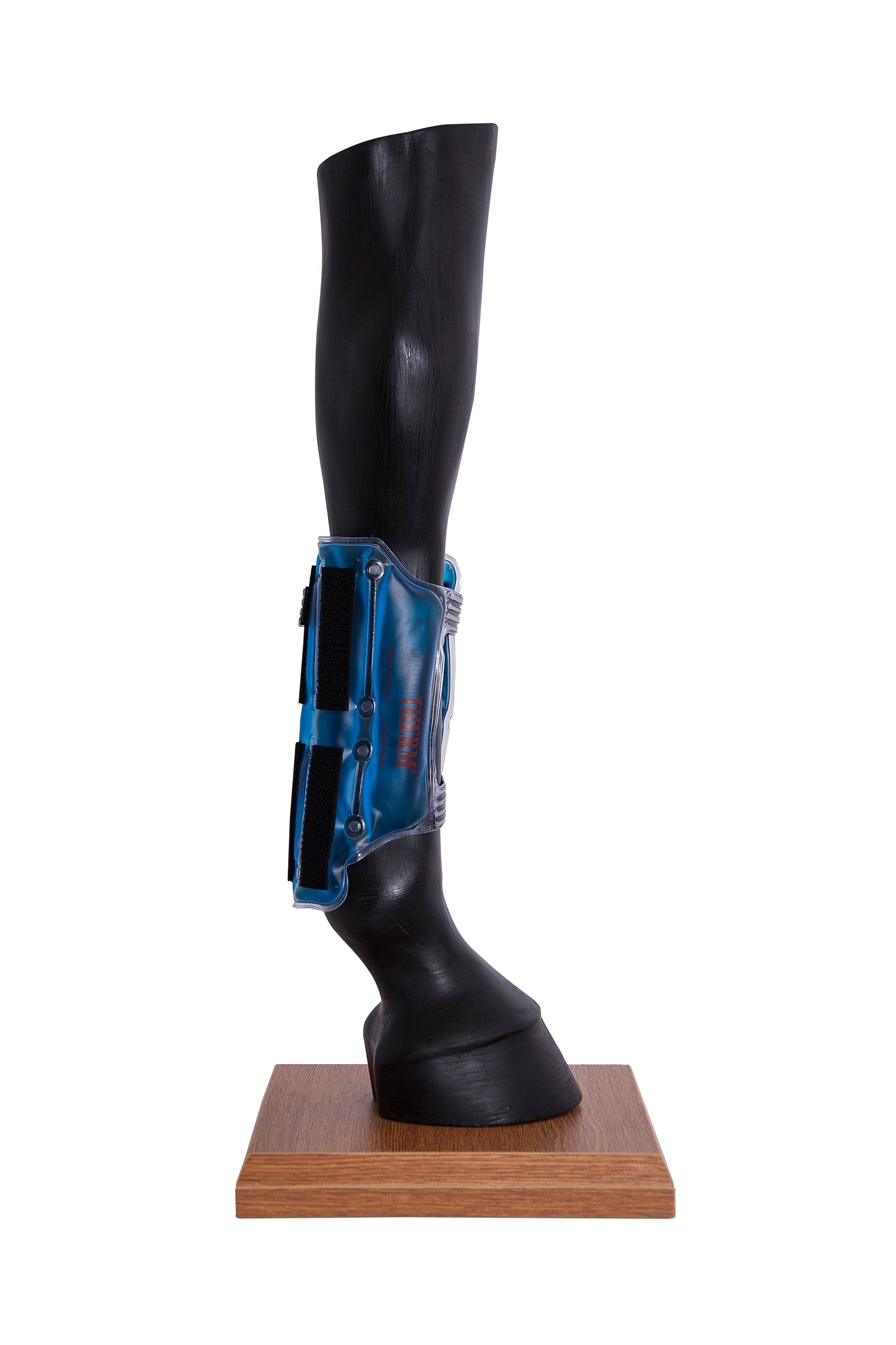 Stassek Involucro termico Equitherm per il raffreddamento e il riscaldamento senza acqua Leg Protection & Hoof Protection for Horses