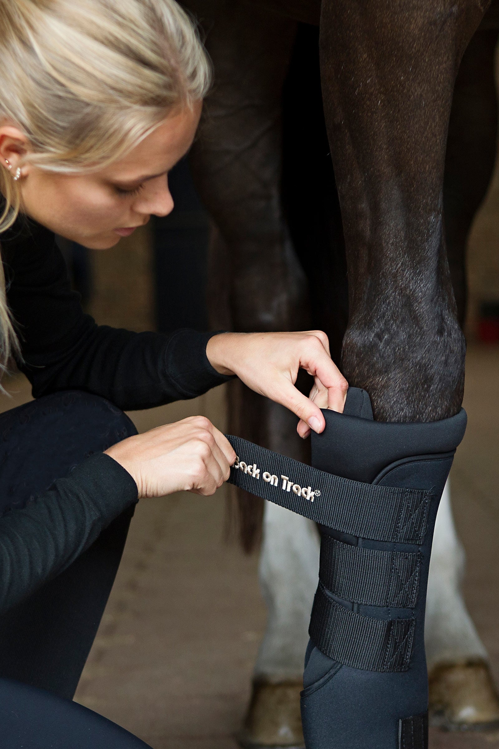 Back on Track Back On Track Quick Royal Leg Wraps Leg Protection & Hoof Protection for Horses
