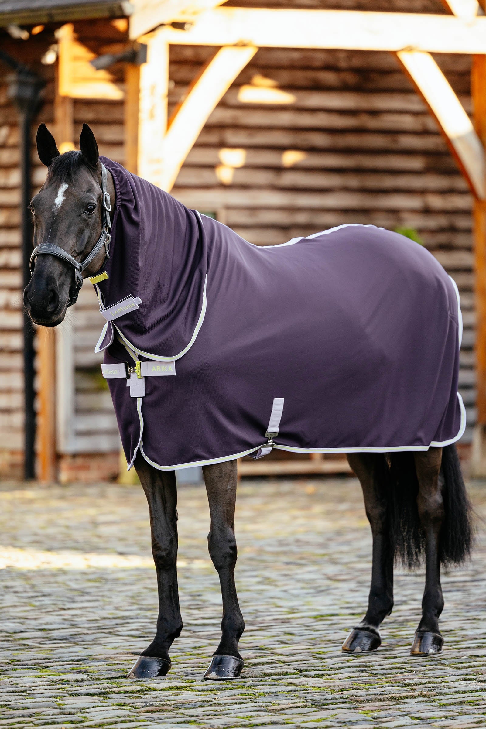 LeMieux Arika DryEase Rug Coperte per cavalli
