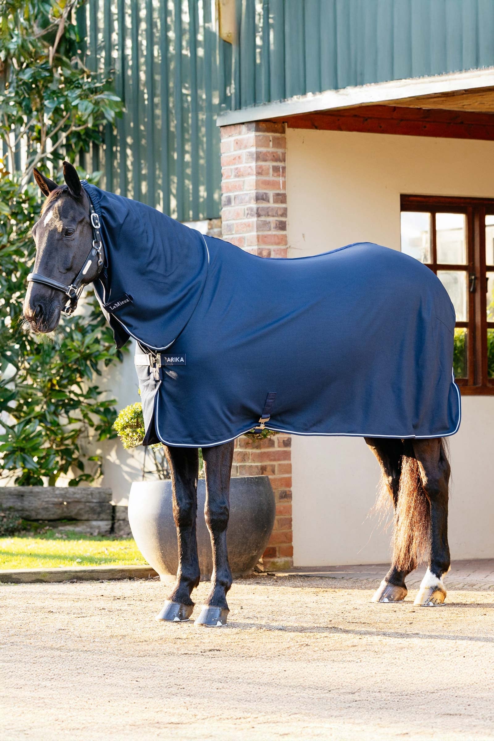 LeMieux Arika DryEase Rug Coperte per cavalli