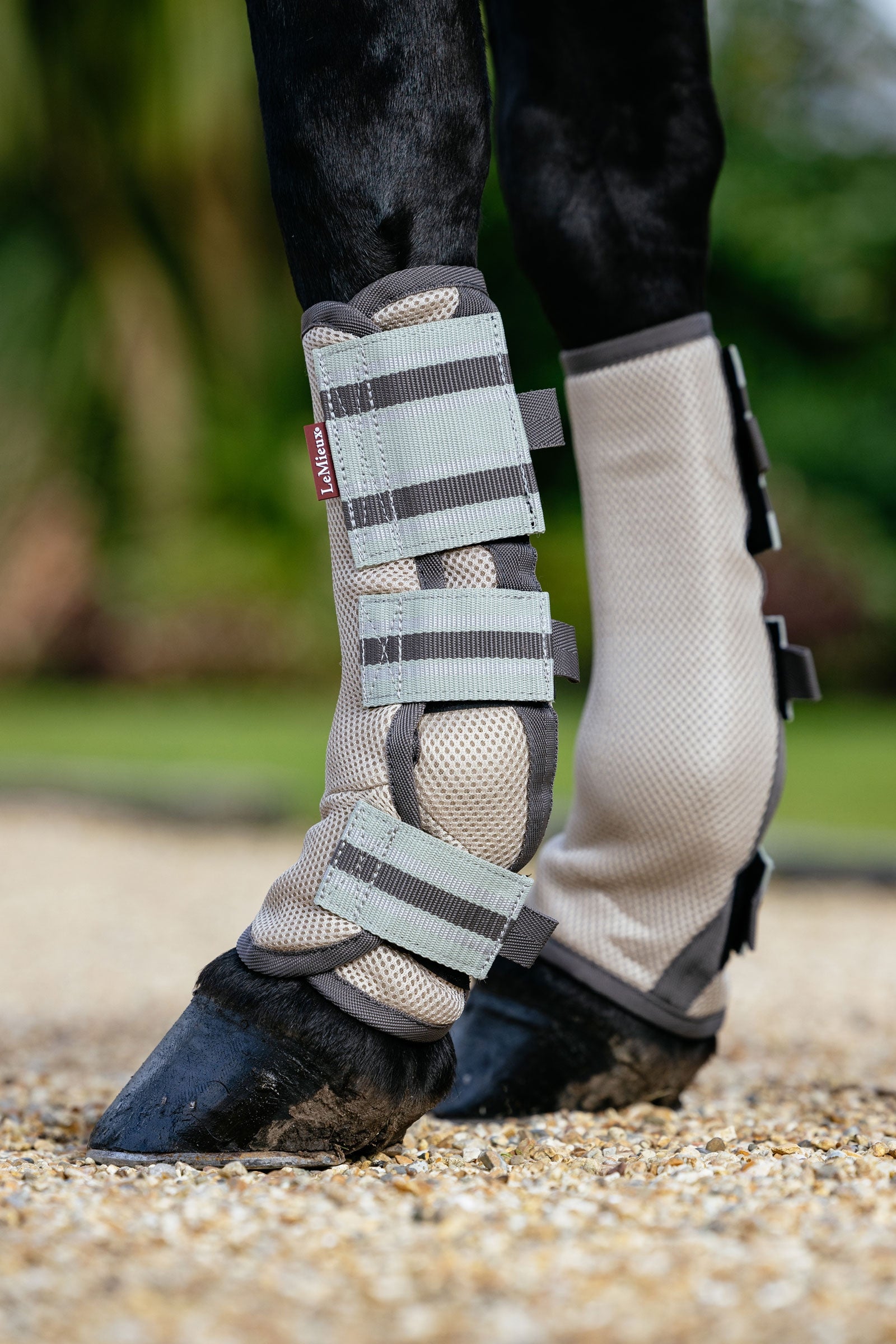 LeMieux Arika Mesh Stinchiere anti-mosche (Set da 4) Protezione antimosche per cavalli