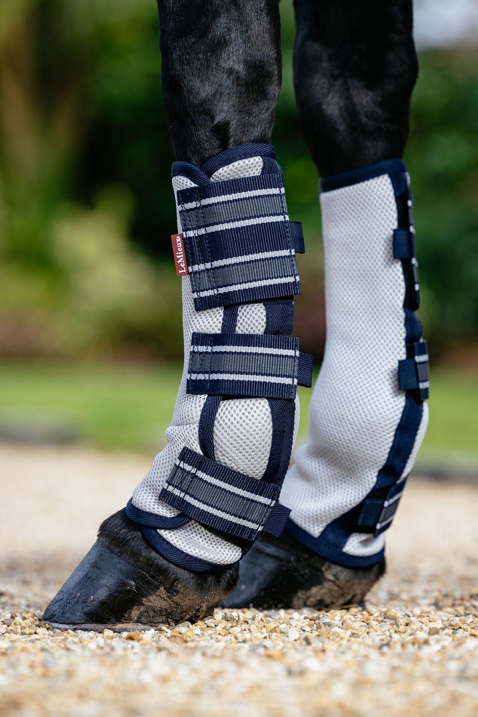 LeMieux Arika Mesh Stinchiere anti-mosche (Set da 4) Protezione antimosche per cavalli