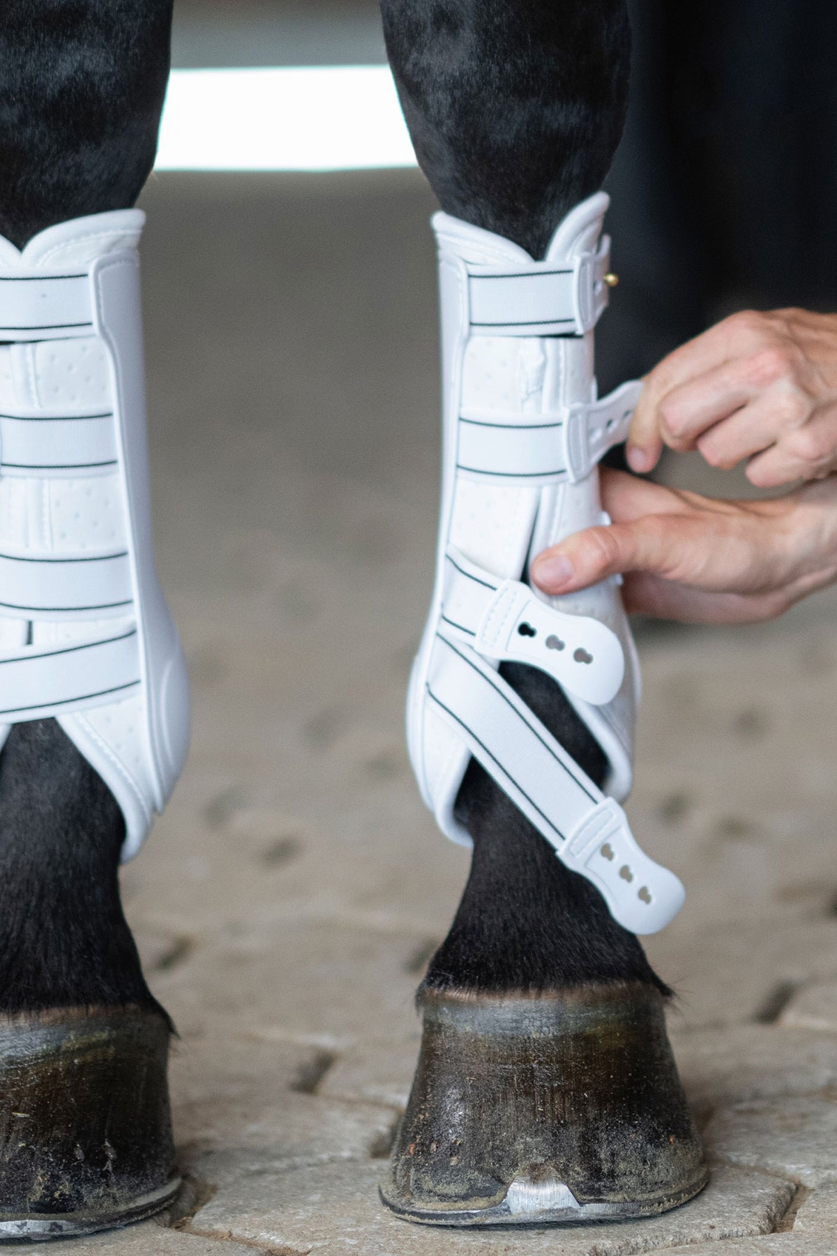 Back on Track Back On Track Royal Work Boots, front Leg & Hoof Protection