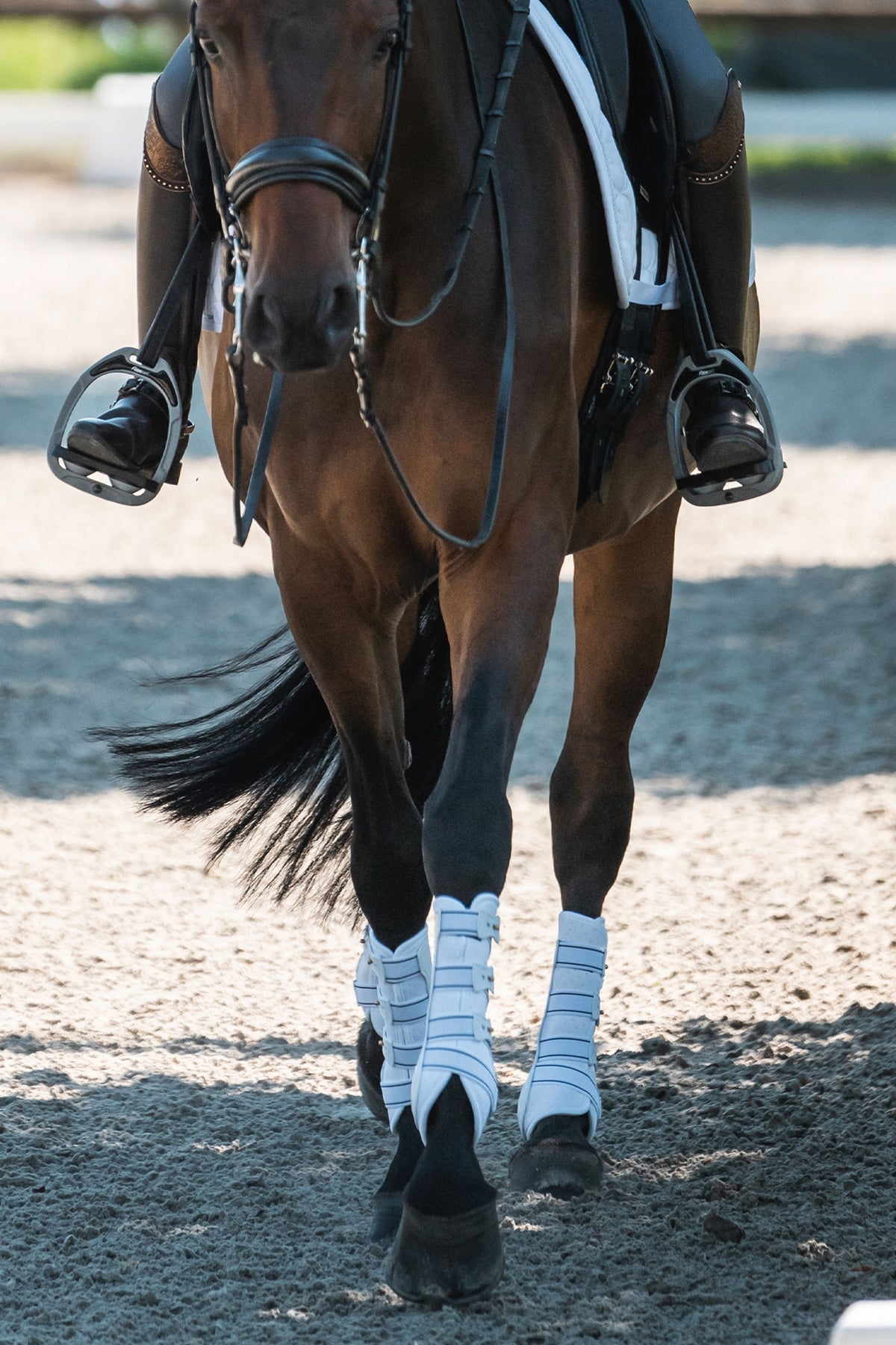 Back on Track Back On Track Royal Work Boots, front Leg & Hoof Protection