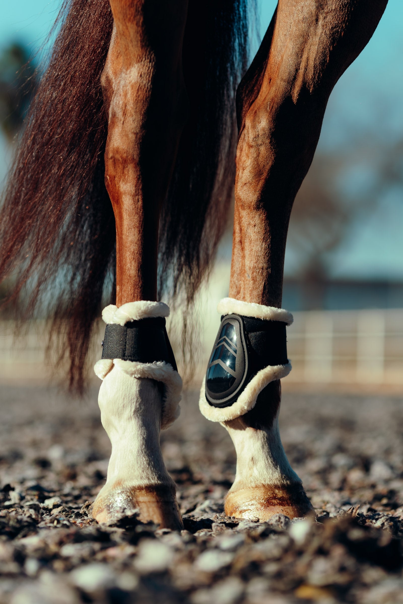 Horze Caliber Fetlock Boots with Faux Fur Lining Leg Protection & Hoof Protection for Horses