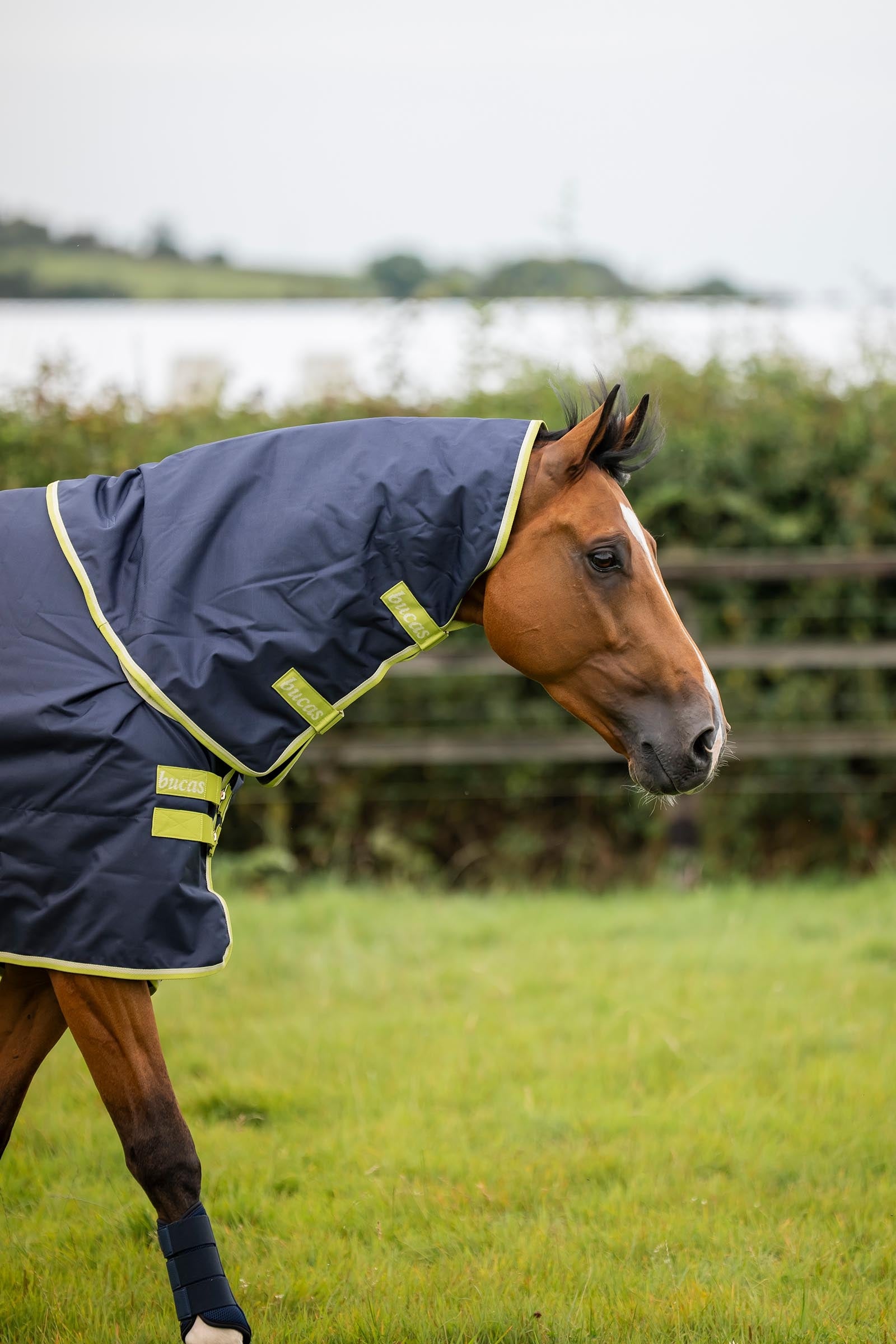 Bucas Oasis Turnout + Neck Set, 200g Horse Rugs