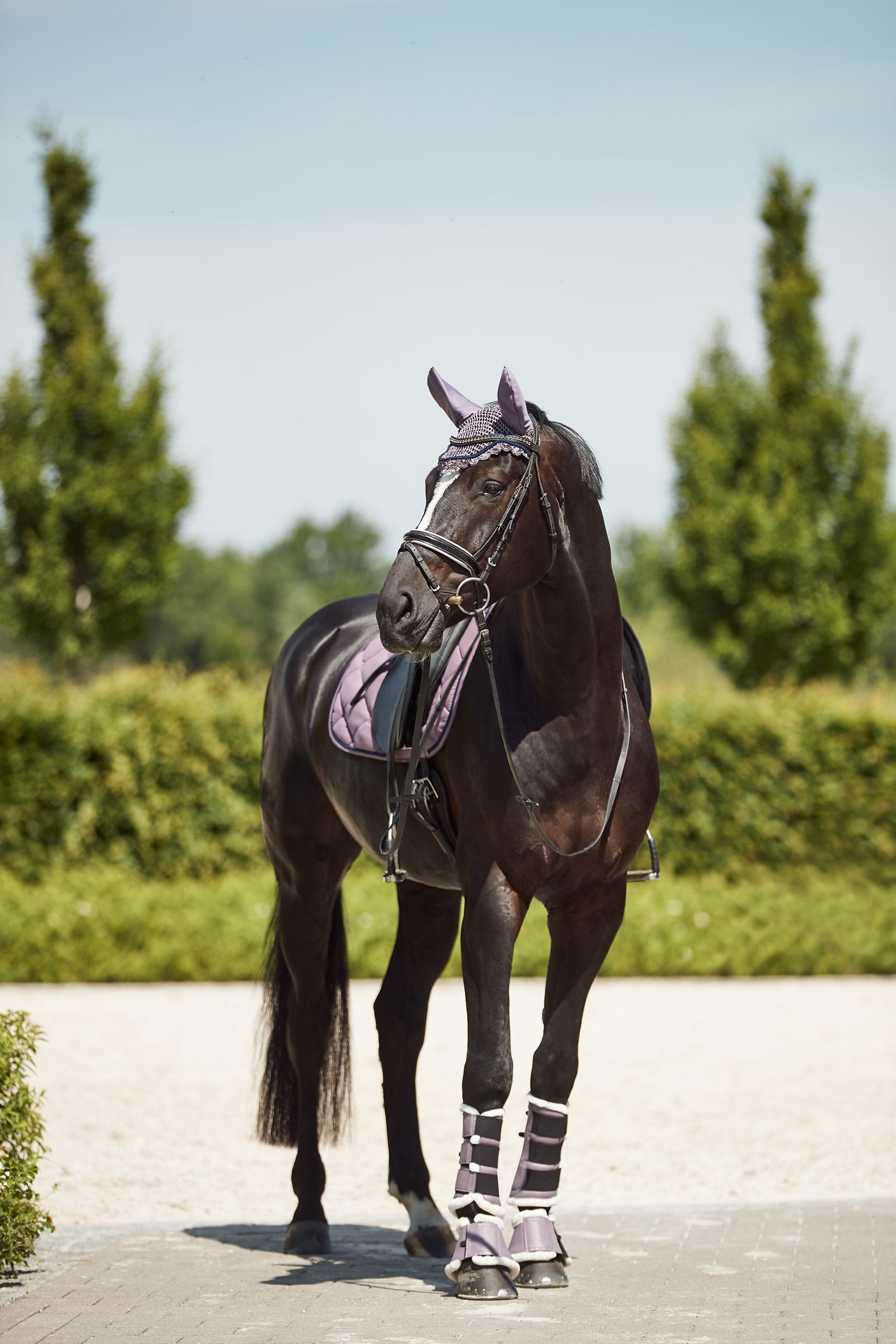 Horze Ghent Brushing Boots with Faux Fur Leg Protection & Hoof Protection for Horses