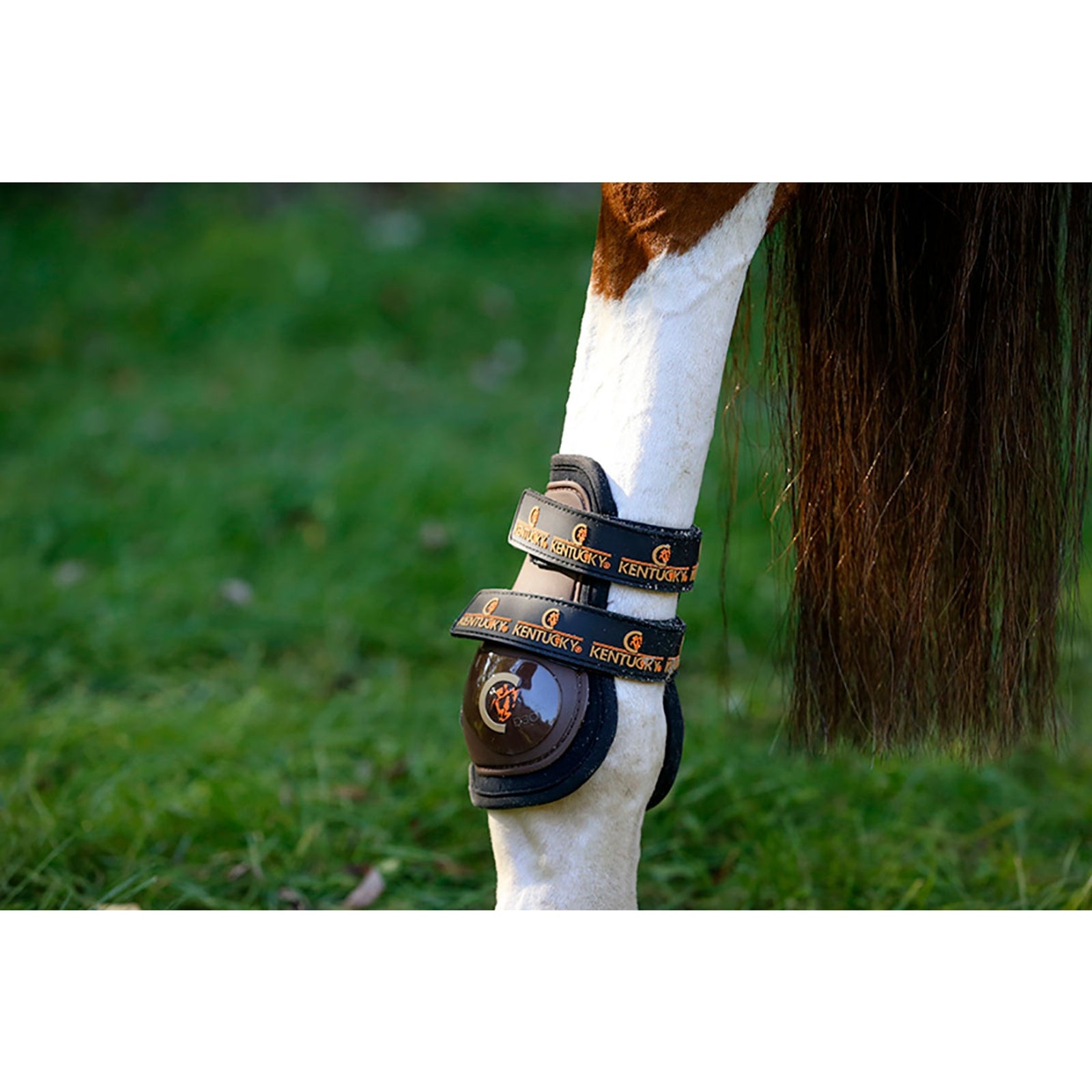 Kentucky Horsewear Armadillo Aero Moonboots Max Leg Protection & Hoof Protection for Horses