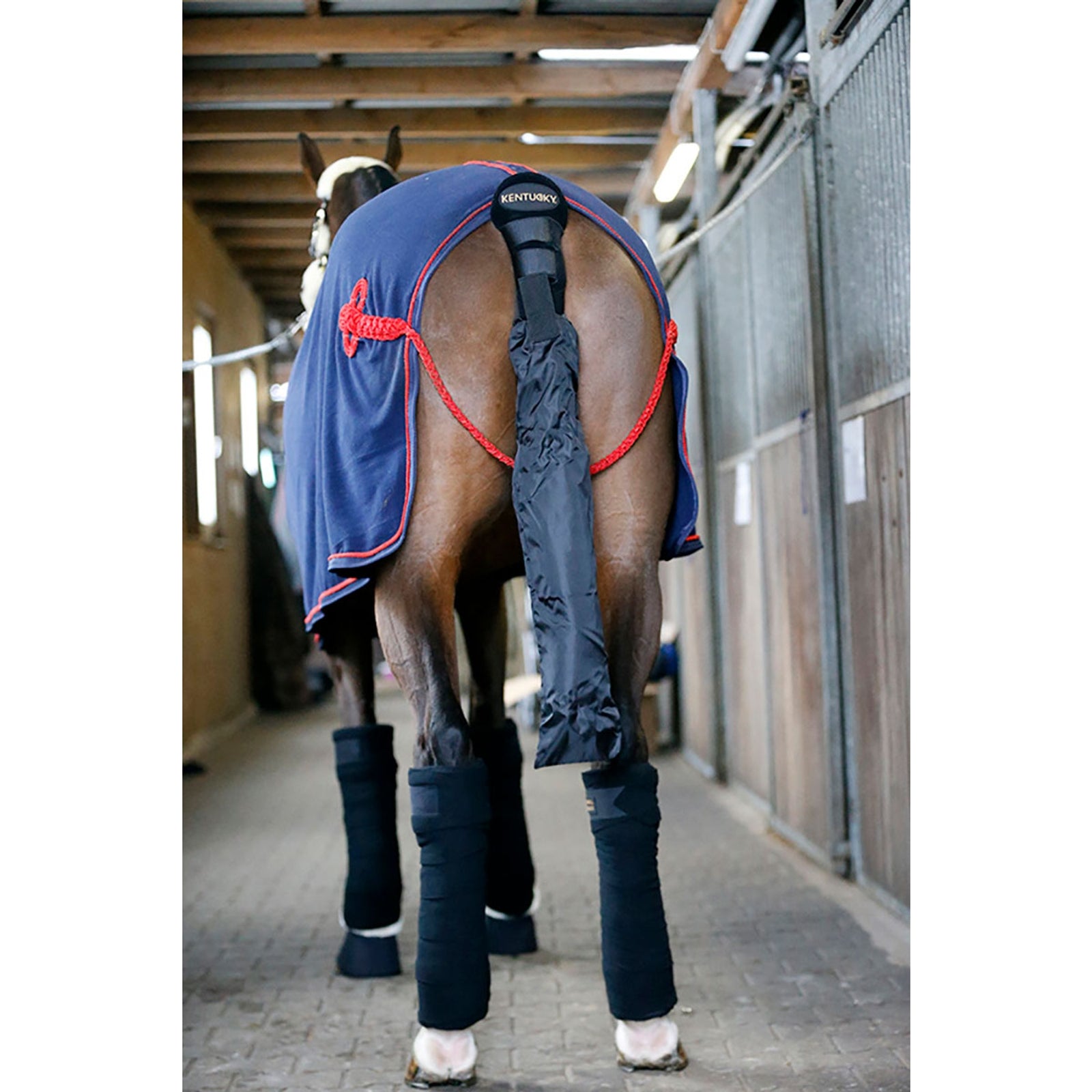 Kentucky Horsewear Tail Guard / Tail Bag Leg Protection & Hoof Protection for Horses