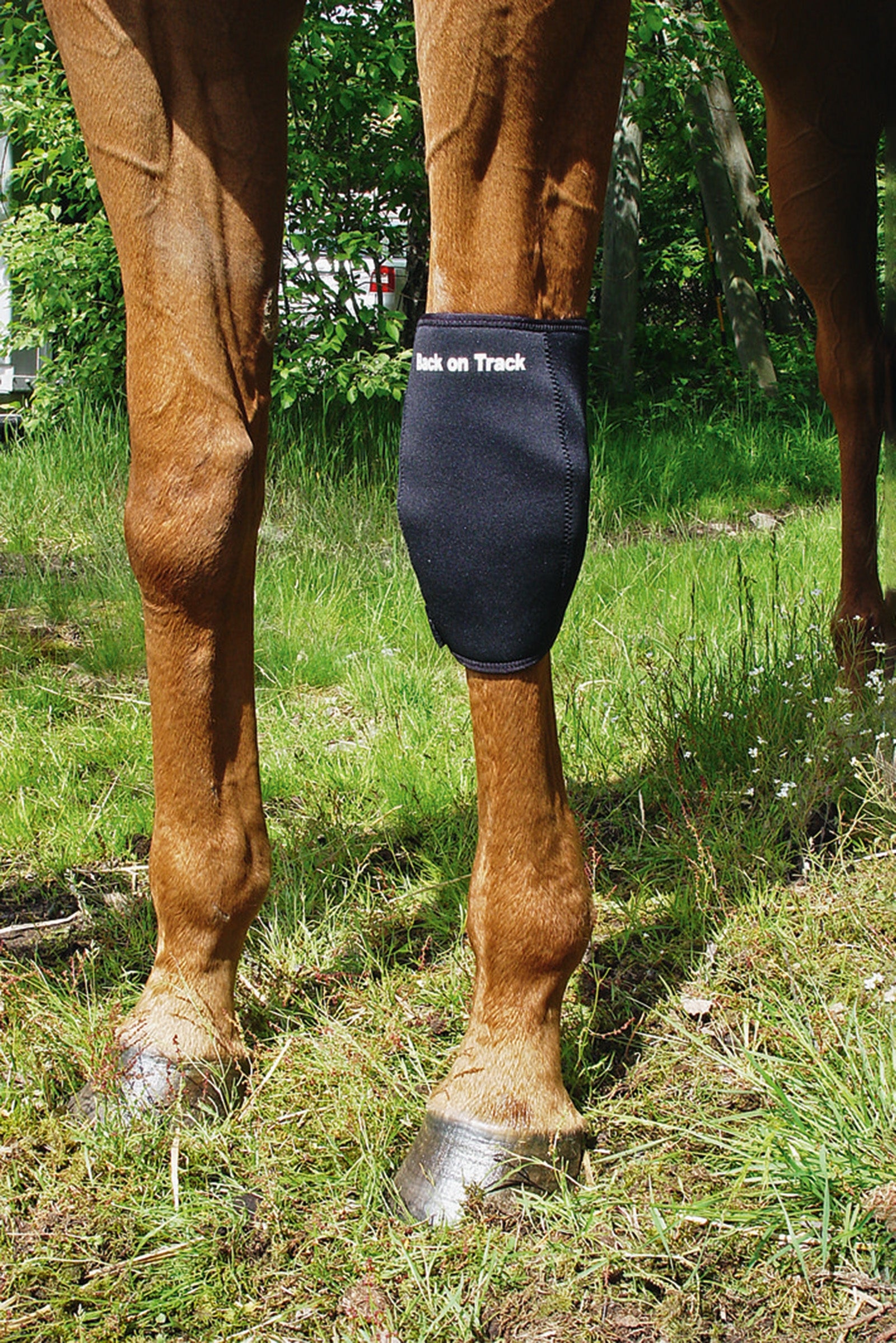 Back on Track Back On Track Knee boot, Right Leg & Hoof Protection