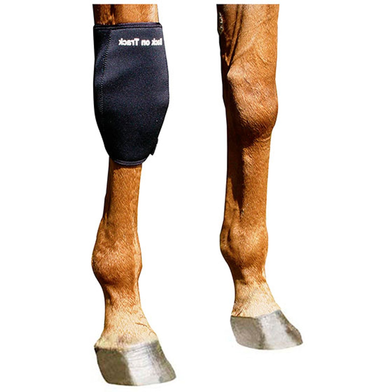Back on Track Back On Track Protezione per ginocchio destro Leg Protection & Hoof Protection for Horses