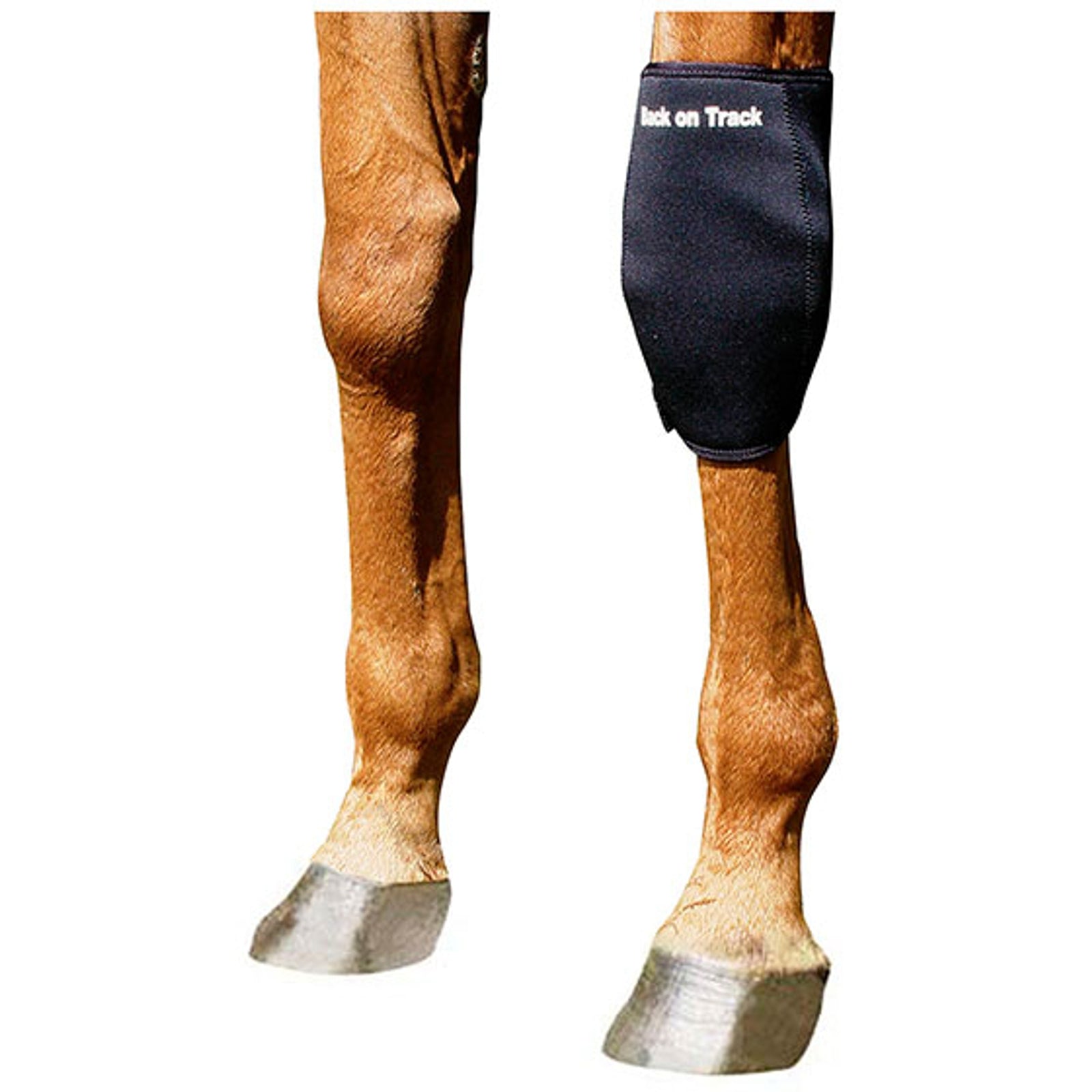 Back on Track Back On Track Protezione per ginocchio sinistro Leg Protection & Hoof Protection for Horses