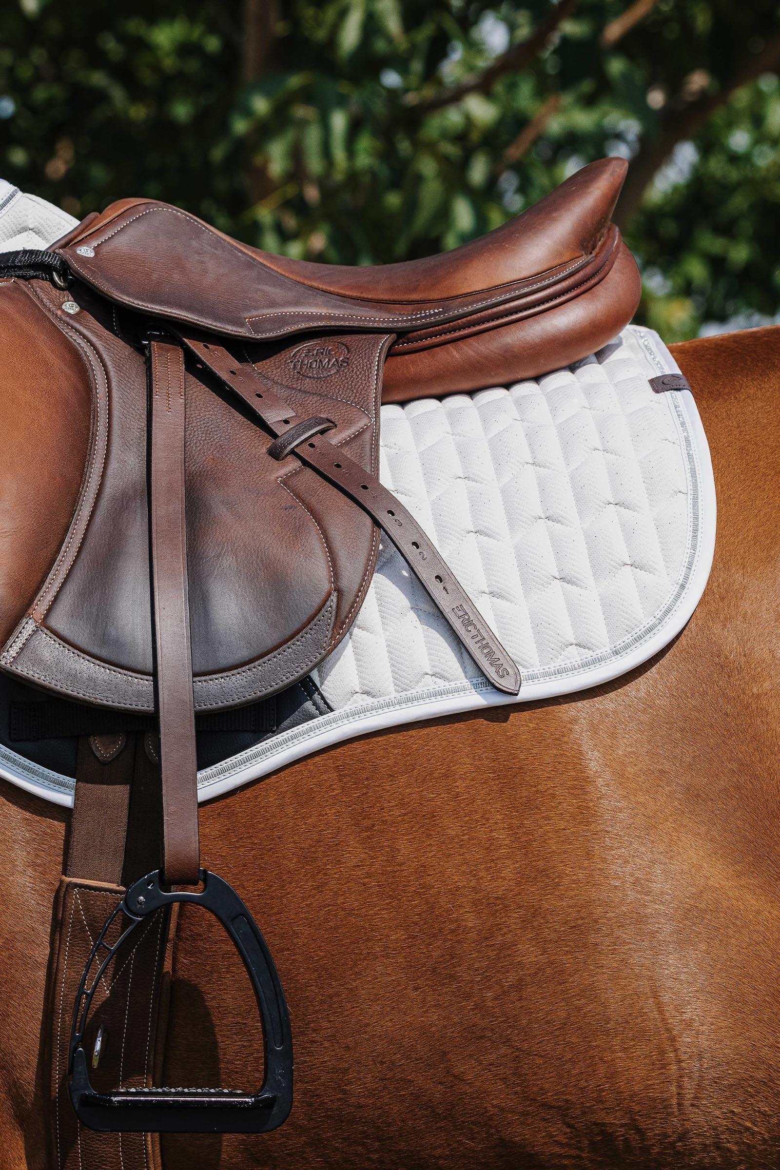 EQUITHÈME Eclat Saddle Pad Saddle Pads