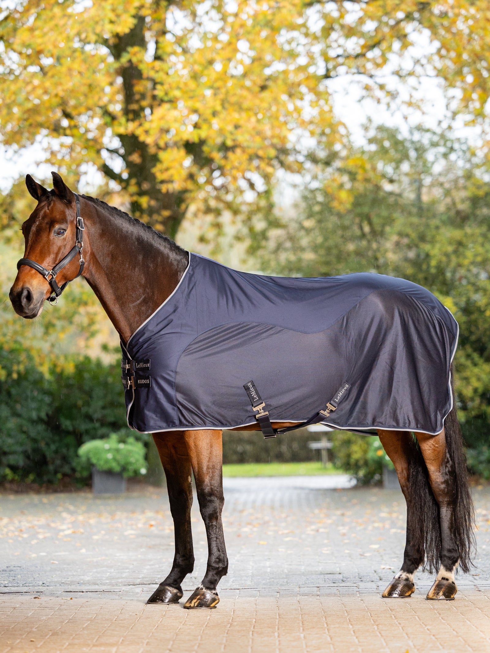 LeMieux Kudos Hybrid Cooler Coperte per cavalli