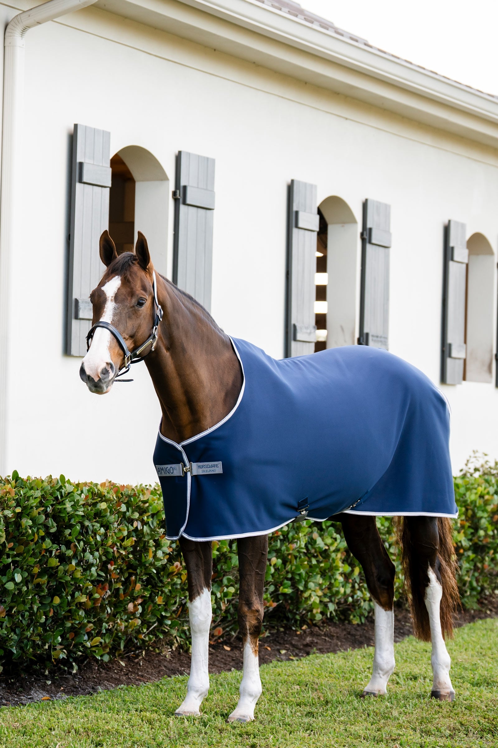 Horseware Coperta raffreddante Amigo in jersey Coperte per cavalli
