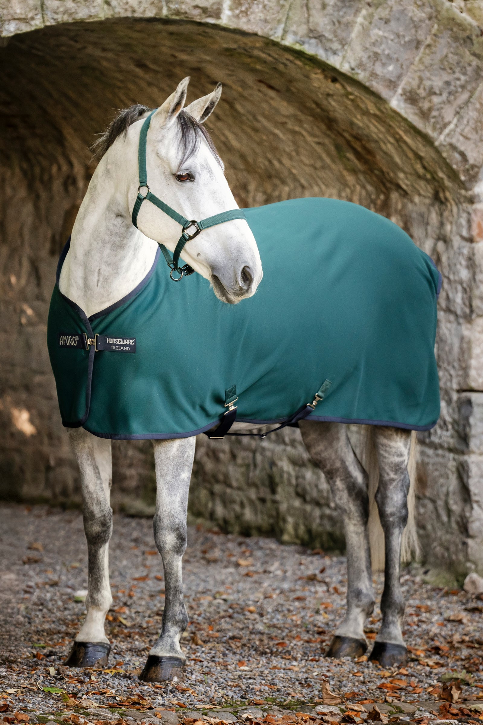 Horseware Coperta raffreddante Amigo in jersey Coperte per cavalli