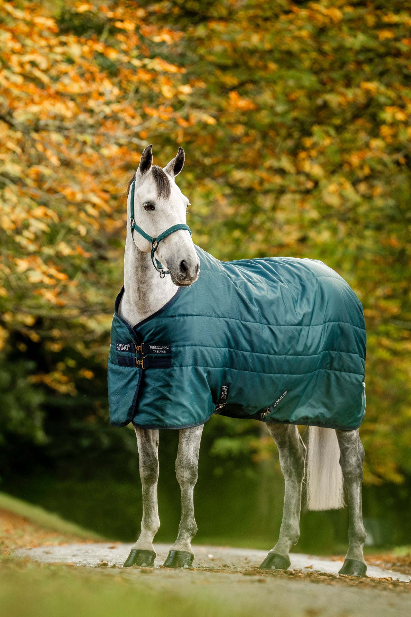 Horseware Amigo Ripstop coperta da box imbottita, 350 g Coperte per cavalli