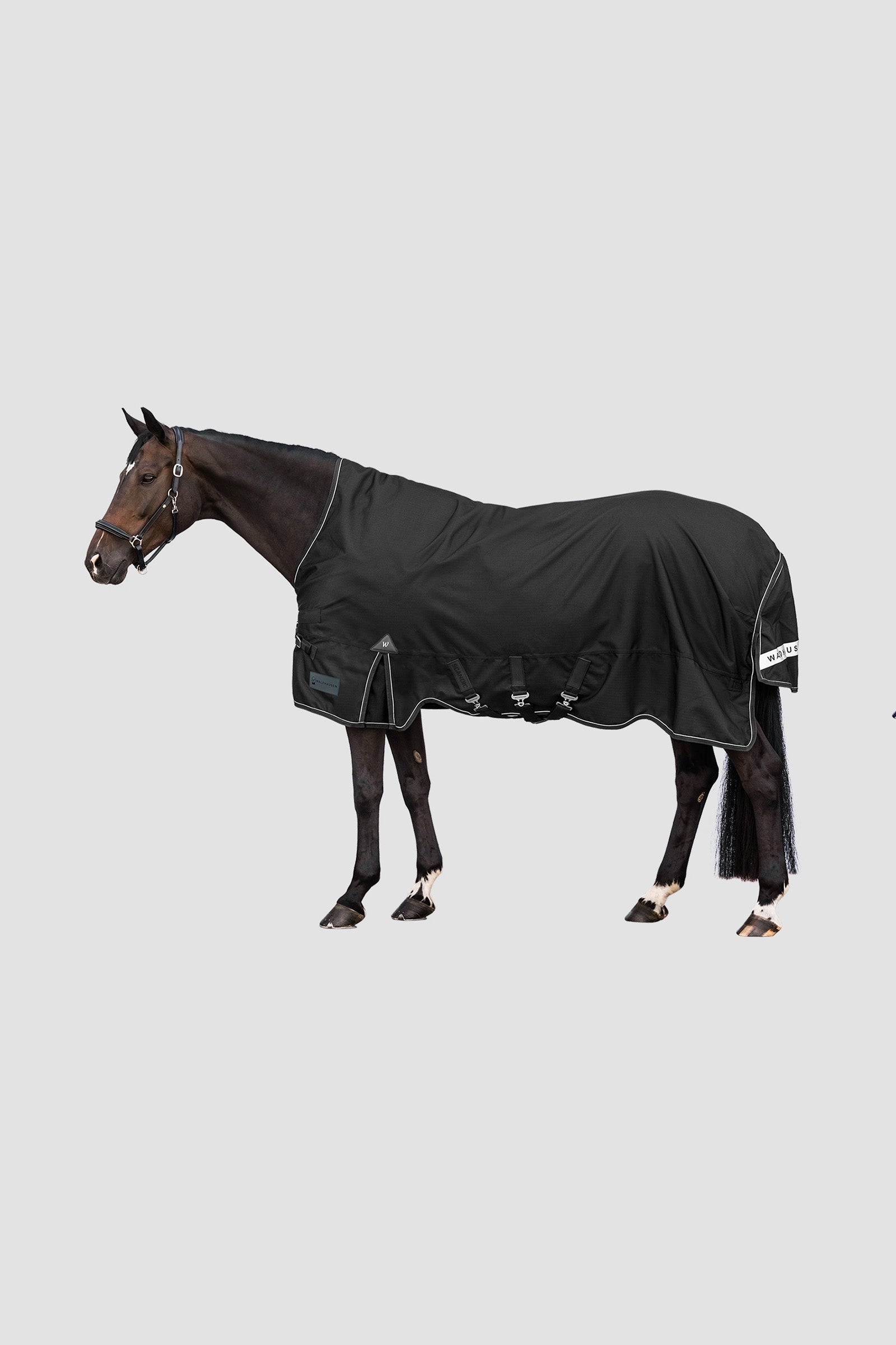 Waldhausen Outdoor Rug Scandic High Neck 100 g Coperte per cavalli