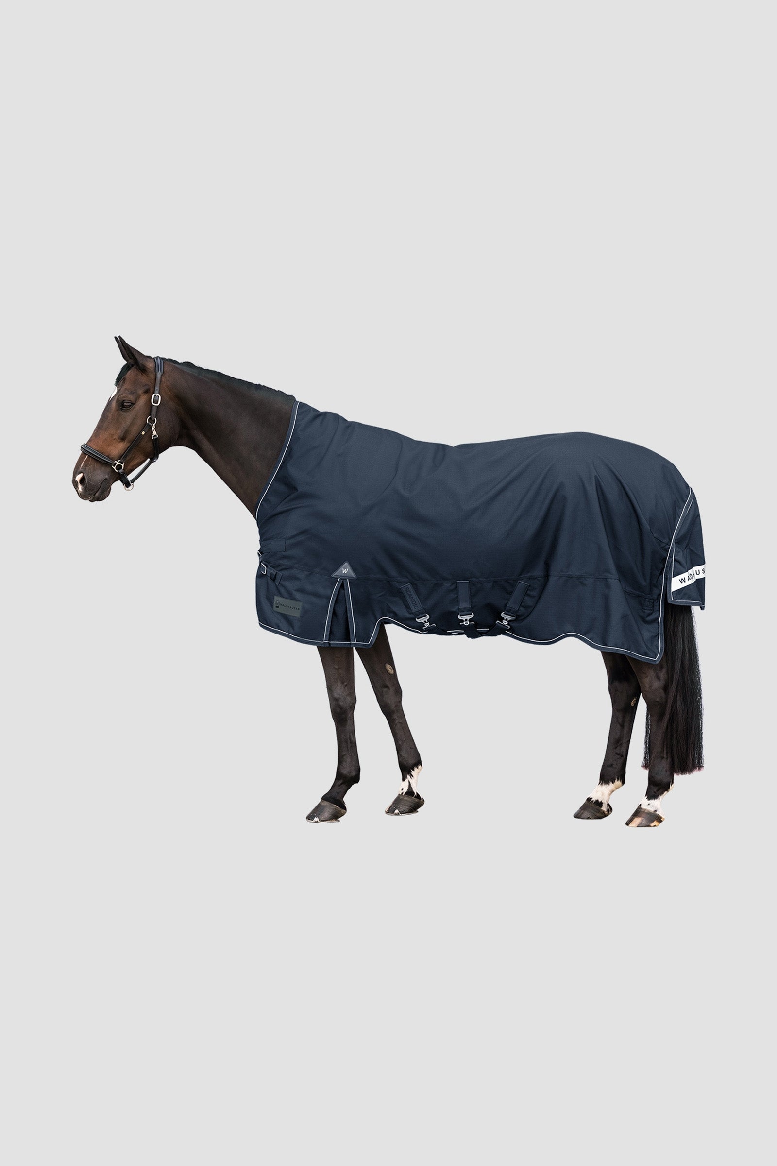 Waldhausen Outdoor Rug Scandic High Neck 100 g Coperte per cavalli