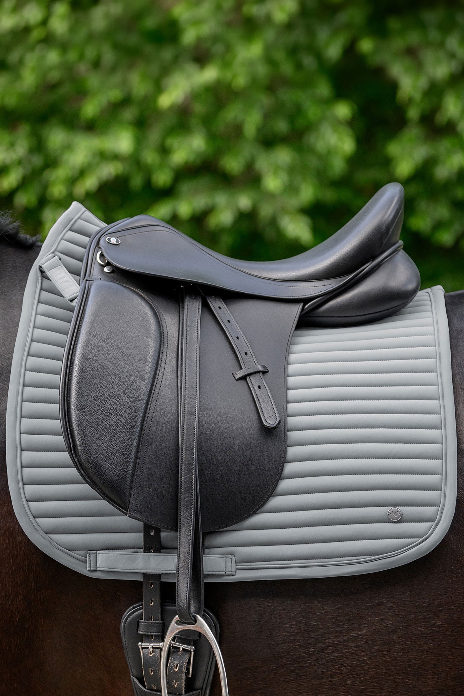 Waldhausen Trinidad sottosella dressage Sottosella