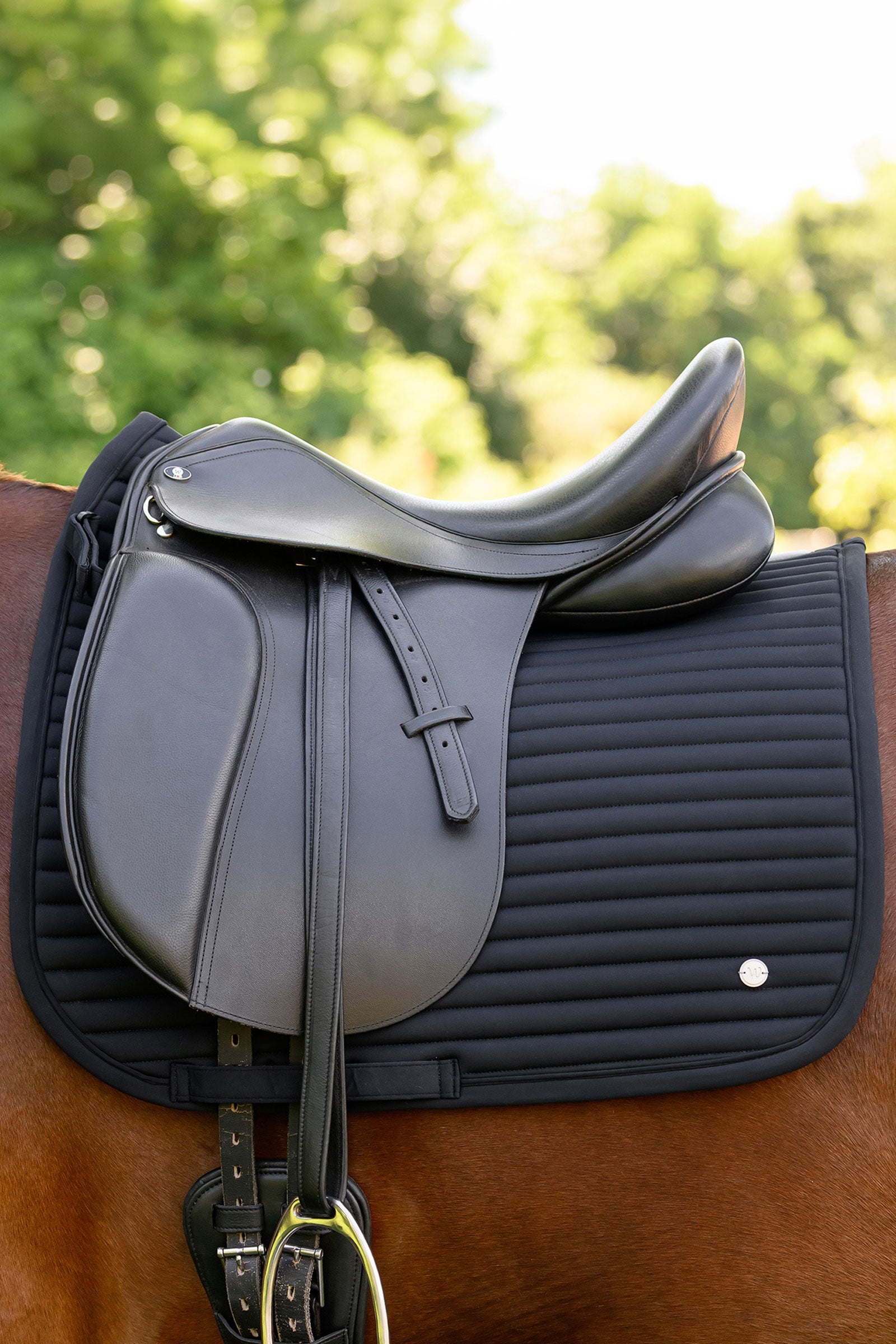 Waldhausen Trinidad sottosella dressage Sottosella