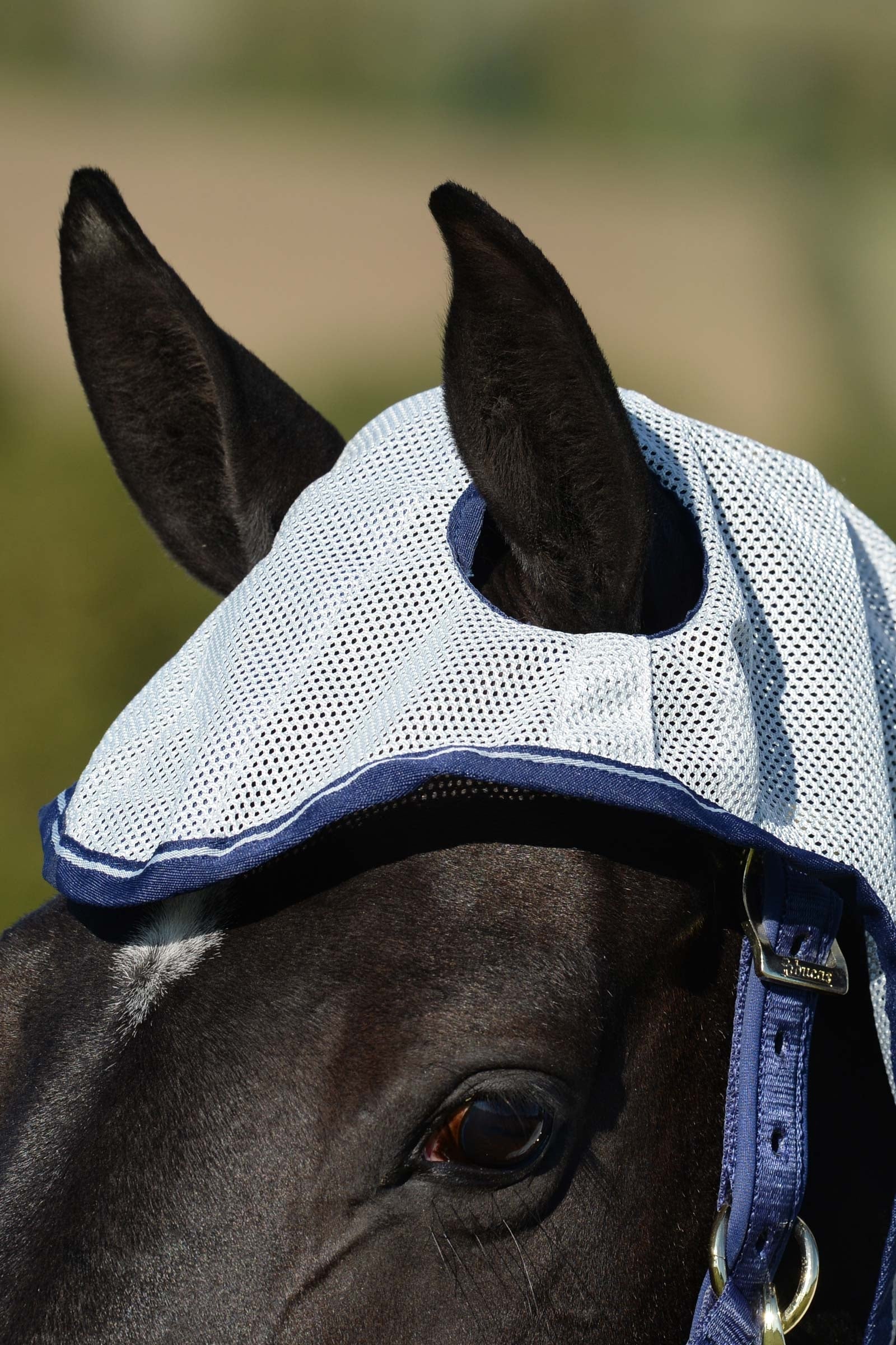 Bucas Buzz-Off X-light Full Neck Fly Rug With Fixed Neck Horse Rugs