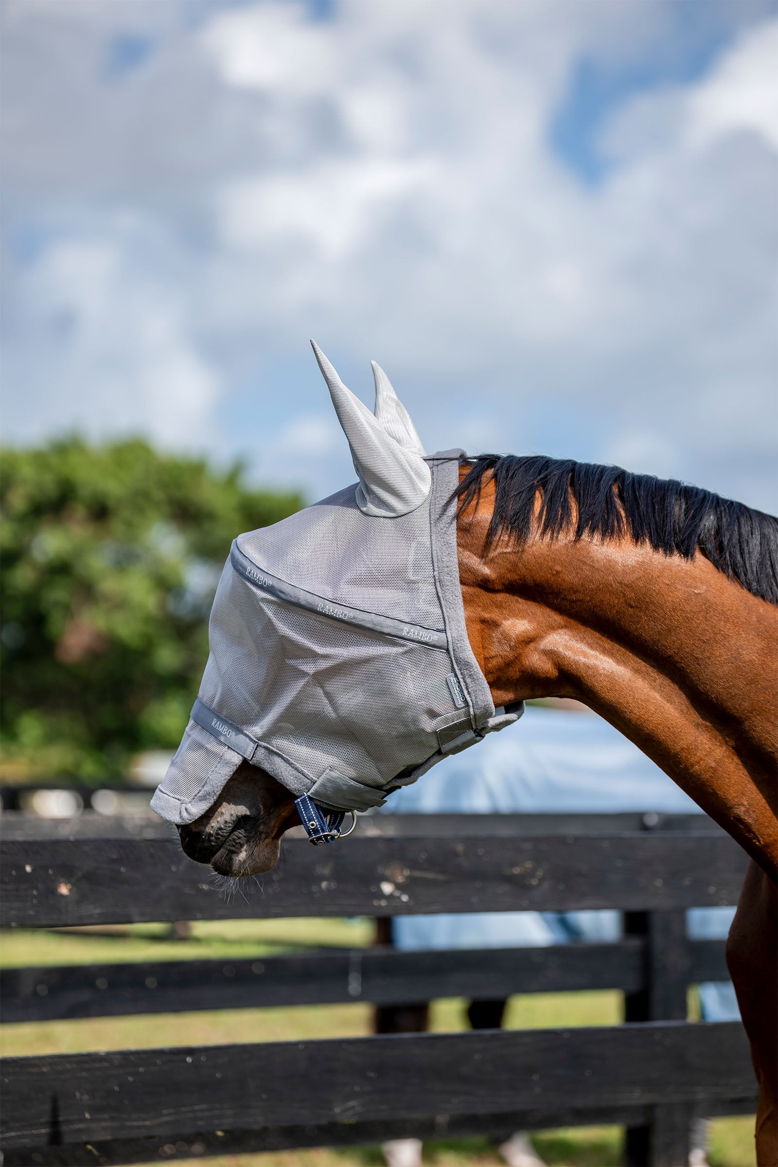 Horseware Rambo Plus Maschera antimosche Protezione antimosche per cavalli