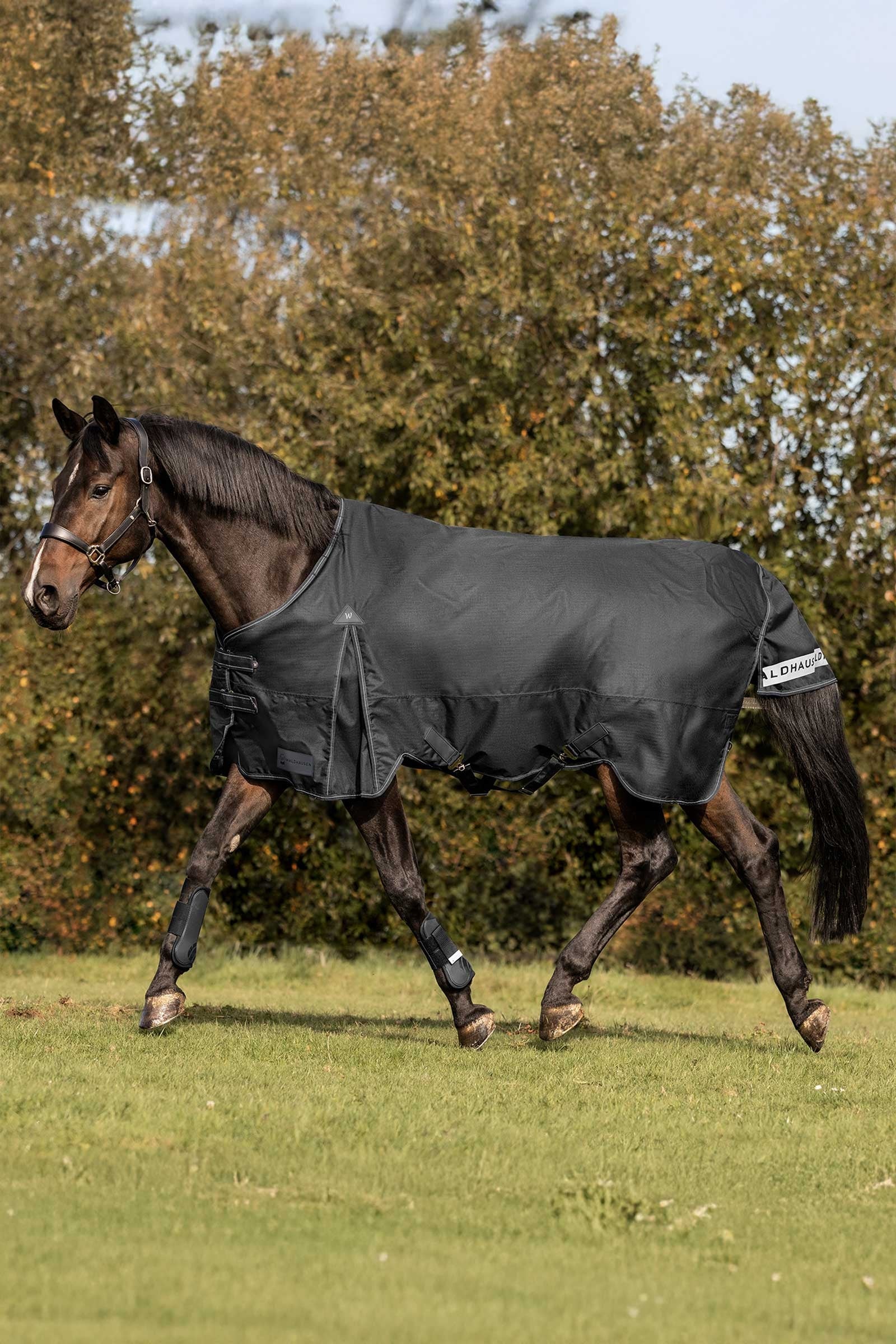 Waldhausen Arctic Turnout Rug, 200 g Horse Rugs