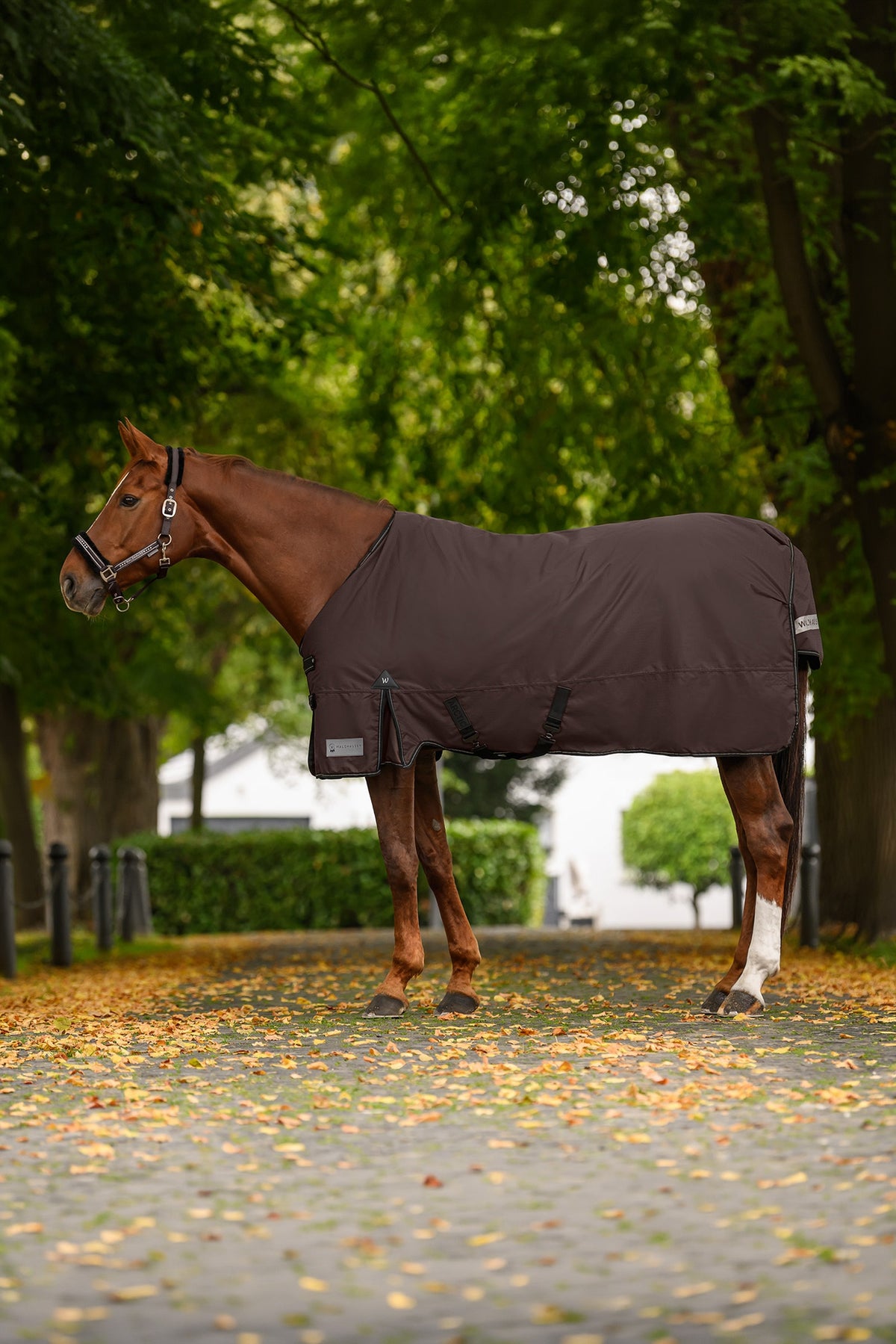Waldhausen Arctic Turnout Rug, 200 g Horse Rugs