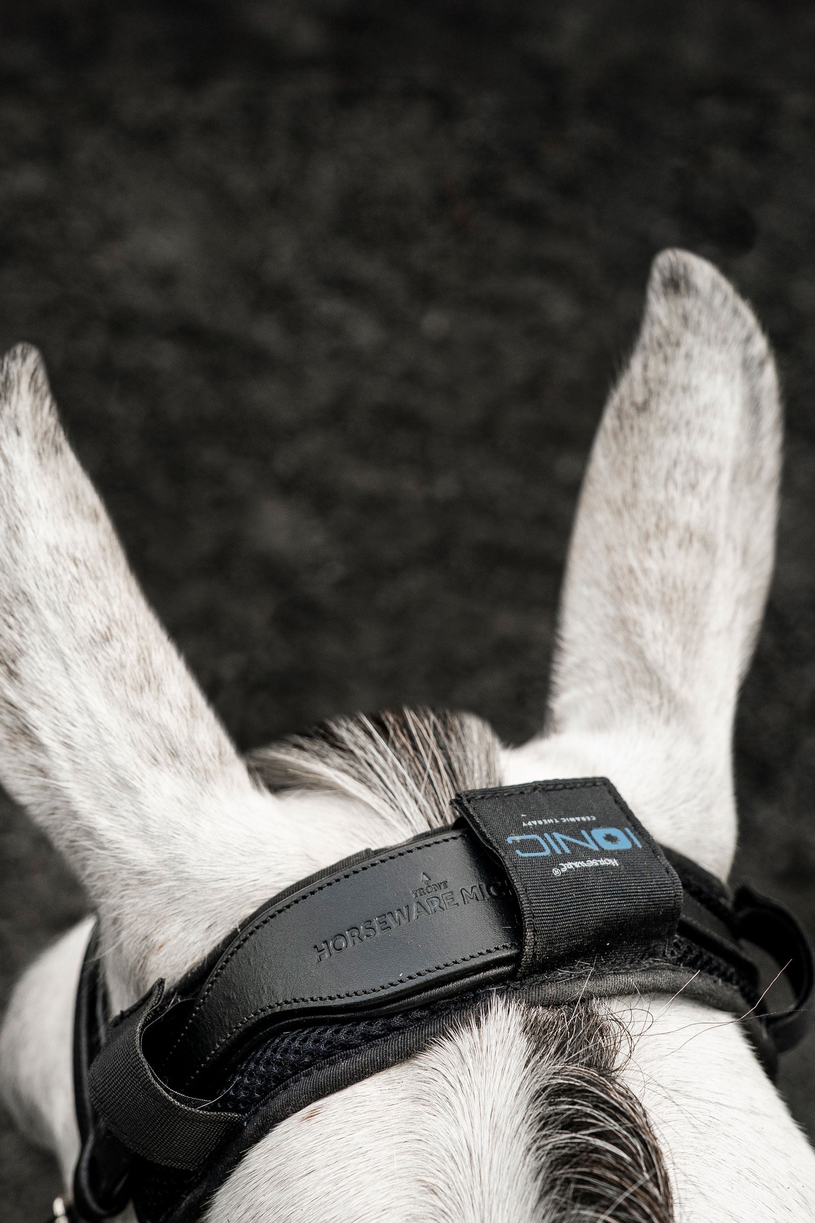 Horseware Ionic coprinuca Protezione antimosche per cavalli