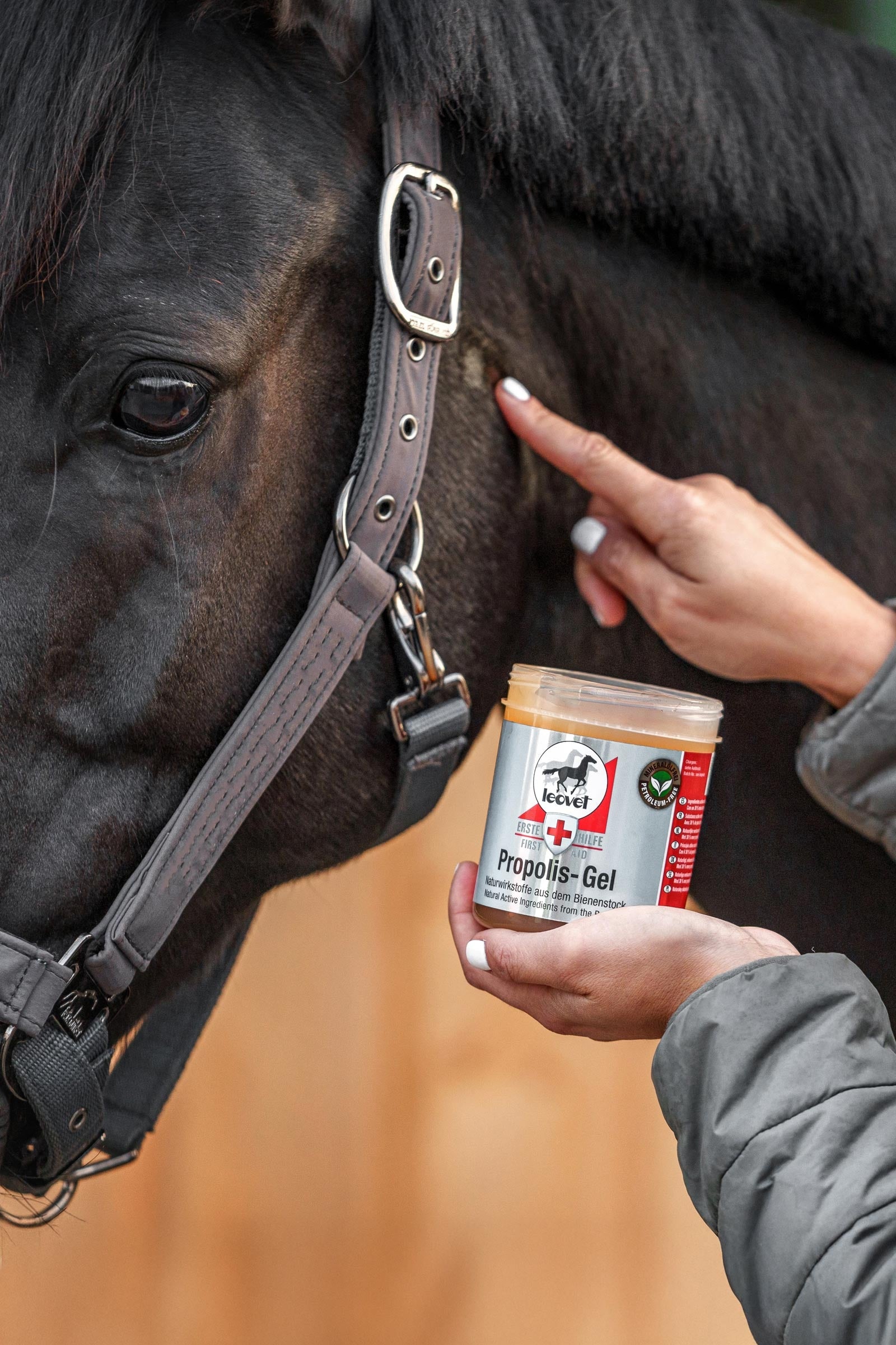 Leovet Propolis-Gel Horse Health Care