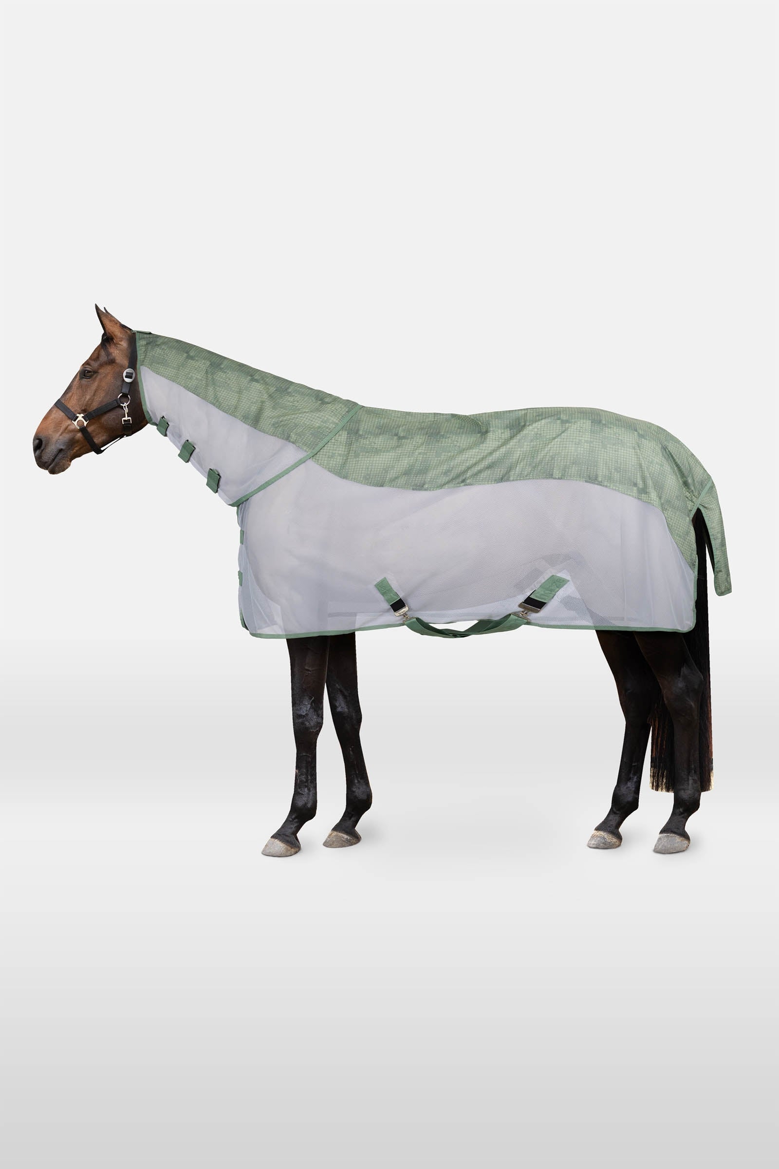 Horze Nevada II combo coperta antipioggia e antimosche con collo removibile Coperte per cavalli