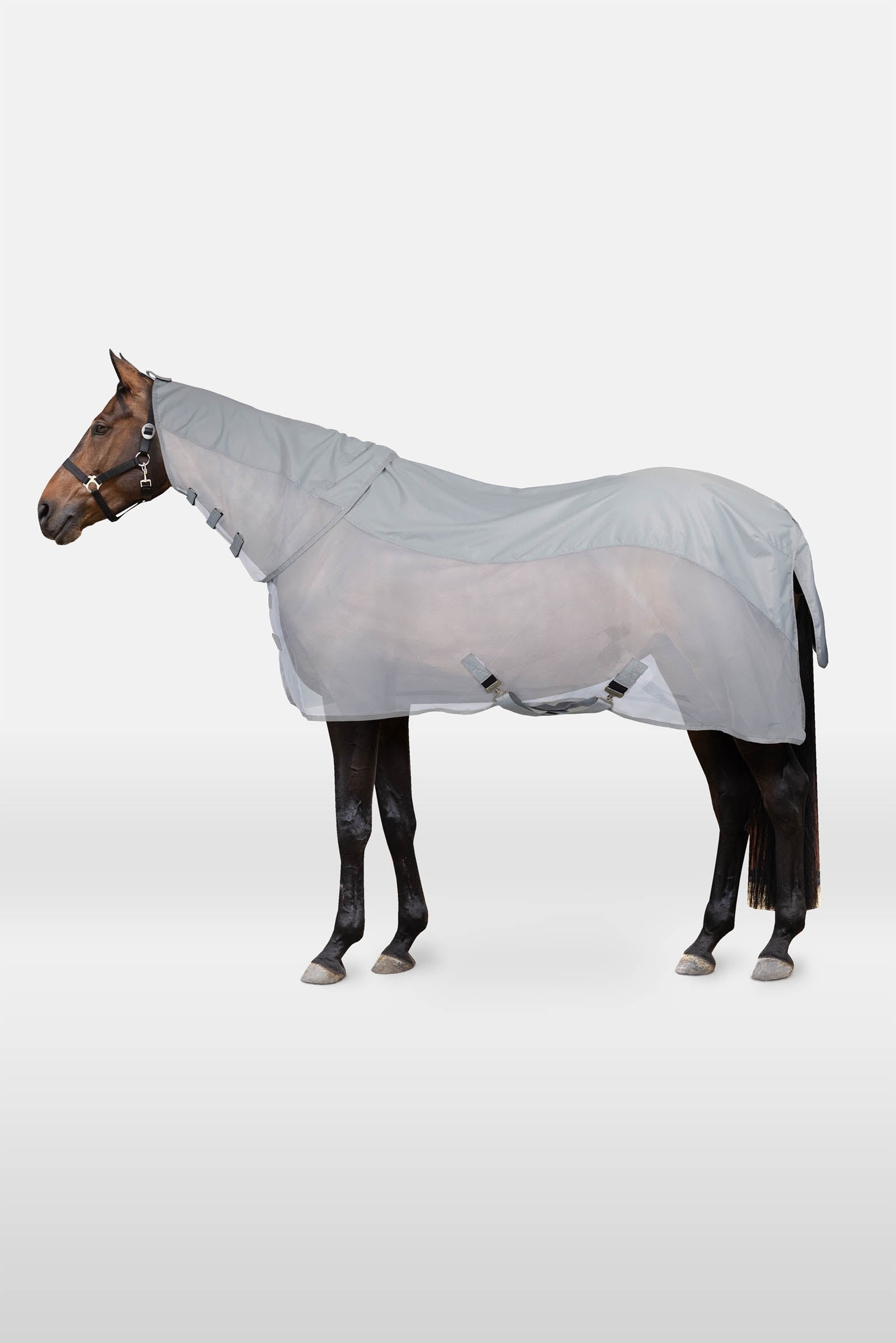 Horze Nevada II combo coperta antipioggia e antimosche con collo removibile Coperte per cavalli